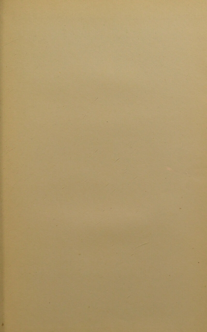 / • ■' > • i.'- #