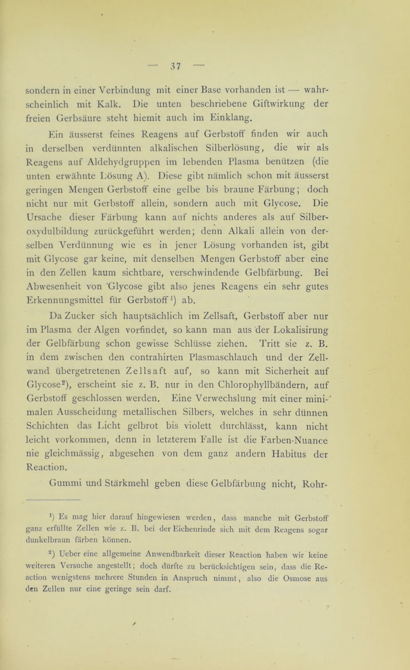 sondern in einer Verbindung mit einer Base vorhanden ist — wahr- scheinlich mit Kalk. Die unten beschriebene Giftwirkung der freien Gerbsäure steht hiemit auch im Einklang. Ein äusserst feines Reagens auf Gerbstoff finden wir auch in derselben verdünnten alkalischen Silberlösung, die wir als Reagens auf Aldehydgruppen im lebenden Plasma benützen (die unten erwähnte Lösung A). Diese gibt nämlich schon mit äusserst geringen Mengen Gerbstoff eine gelbe bis braune Färbung; doch nicht nur mit Gerbstoff allein, sondern auch mit Glycose. Die Ursache dieser Färbung kann auf nichts anderes als auf Silber- oxydulbildung zurückgeführt werden; denn Alkali allein von der- selben Verdünnung wie es in jener Lösung vorhanden ist, gibt mit Glycose gar keine, mit denselben Mengen Gerbstoff aber eine in den Zellen kaum sichtbare, verschwindende Gelbfärbung. Bei Abwesenheit von 'Glycose gibt also jenes Reagens ein sehr gutes Erkennungsmittel für Gerbstoff1) ab. Da Zucker sich hauptsächlich im Zellsaft, Gerbstoff aber nur im Plasma der Algen vorfindet, so kann man aus der Lokalisirung der Gelbfärbung schon gewisse Schlüsse ziehen. Tritt sie z. B. in dem zwischen den contrahirten Plasmaschlauch und der Zell- wand übergetretenen Zellsaft auf, so kann mit Sicherheit auf Glycose2), erscheint sie z. B. nur in den Chlorophyllbändern, auf Gerbstoff geschlossen werden. Eine Verwechslung mit einer mini-' malen Ausscheidung metallischen Silbers, welches in sehr dünnen Schichten das Licht gelbrot bis violett durchlässt, kann nicht leicht Vorkommen, denn in letzterem Falle ist die Farben-Nuance nie gleichmässig, abgesehen von dem ganz andern Habitus der Reaction. Gummi und Stärkmehl geben diese Gelbfärbung nicht, Rohr- b Es mag hier darauf hingewiesen werden, dass manche mit Gerbstoff ganz erfüllte Zellen wie z. B. bei der Eichenrinde sich mit dem Reagens sogar dunkelbraun färben können. 2) Ueber eine allgemeine Anwendbarkeit dieser Reaction haben wir keine weiteren Versuche angestellt; doch dürfte zu berücksichtigen sein, dass die Re- action wenigstens mehrere Stunden in Anspruch nimmt, also die Osmose aus den Zellen nur eine geringe sein darf. /