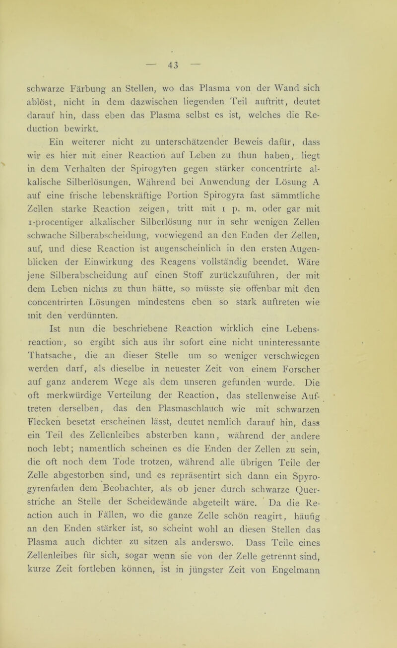 schwarze Färbung an Stellen, wo das Plasma von der Wand sich ablöst, nicht in dem dazwischen liegenden Teil auftritt, deutet darauf hin, dass eben das Plasma selbst es ist, welches die Re- dlich on bewirkt. Ein weiterer nicht zu unterschätzender Beweis dafür, dass wir es hier mit einer Reaction auf Leben zu thun haben, liegt in dem Verhalten der SpirogyTen gegen stärker concentrirte al- kalische Silberlösungen. Während bei Anwendung der Lösung A auf eine frische lebenskräftige Portion Spirogyra fast sämmtliche Zellen starke Reaction zeigen, tritt mit i p. m. oder gar mit i-procentiger alkalischer Silberlösung nur in sehr wenigen Zellen schwache Silberabscheidung, vorwiegend an den Enden der Zellen, auf, und diese Reaction ist augenscheinlich in den ersten Augen- blicken der Einwirkung des Reagens vollständig beendet. Wäre jene Silberabscheidung auf einen Stoff zurückzuführen, der mit dem Leben nichts zu thun hätte, so müsste sie offenbar mit den concentrirten Lösungen mindestens eben so stark auftreten wie mit den verdünnten. Ist nun die beschriebene Reaction wirklich eine Lebens- reaction, so ergibt sich aus ihr sofort eine nicht uninteressante Thatsache, die an dieser Stelle um so weniger verschwiegen werden darf, als dieselbe in neuester Zeit von einem Forscher auf ganz anderem Wege als dem unseren gefunden wurde. Die oft merkwürdige Verteilung der Reaction, das stellenweise Auf- treten derselben, das den Plasmaschlauch wie mit schwarzen Flecken besetzt erscheinen lässt, deutet nemlich darauf hin, dass ein Teil des Zellenleibes absterben kann, während der andere noch lebt; namentlich scheinen es die Enden der Zellen zu sein, die oft noch dem Tode trotzen, während alle übrigen Teile der Zelle abgestorben sind, und es repräsentirt sich dann ein Spyro- gyrenfaden dem Beobachter, als ob jener durch schwarze Quer- striche an Stelle der Scheidewände abgeteilt wäre. Da die Re- action auch in Fällen, wo die ganze Zelle schön reagirt, häufig an den Enden stärker ist, so scheint wohl an diesen Stellen das Plasma auch dichter zu sitzen als anderswo. Dass Teile eines Zellenleibes für sich, sogar wenn sie von der Zelle getrennt sind, kurze Zeit fortleben können, ist in jüngster Zeit von Engelmann