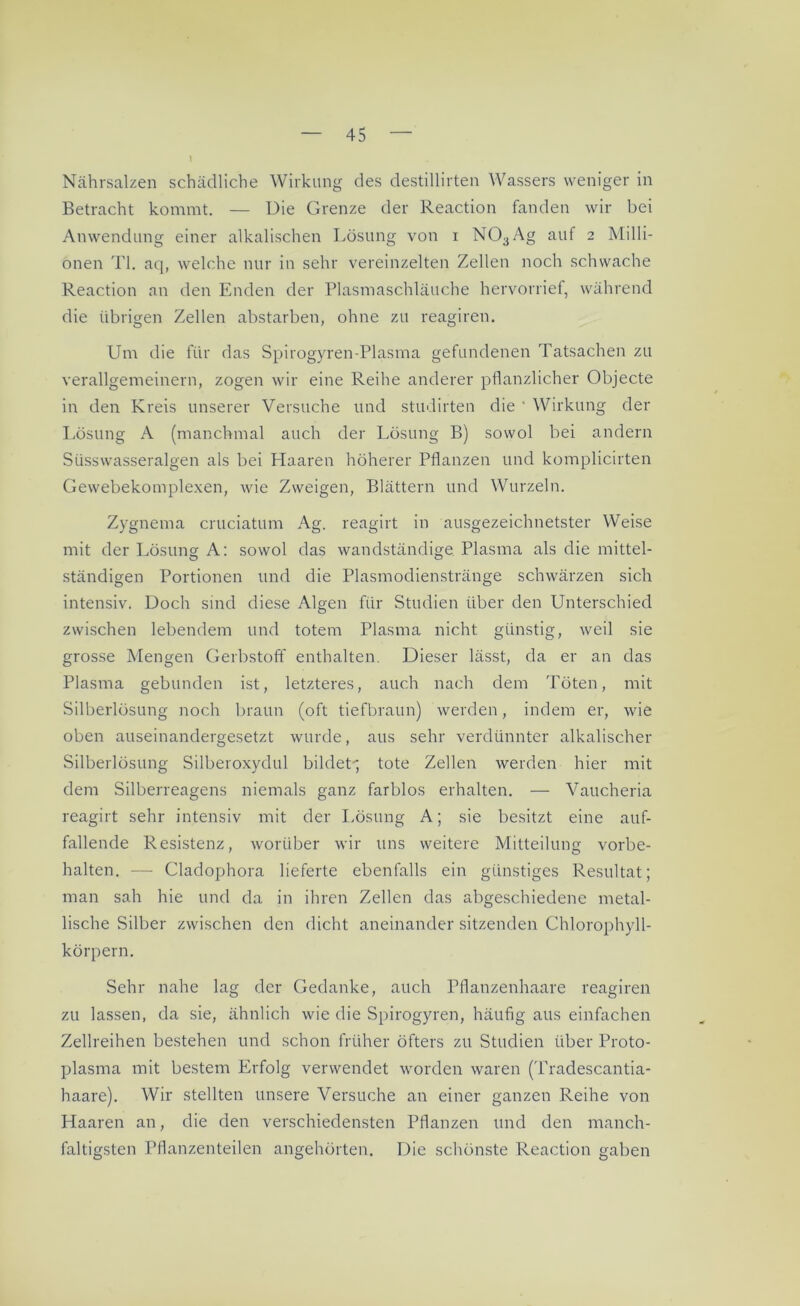 Nährsalzen schädliche Wirkung des destillirten Wassers weniger in Betracht kommt. — Die Grenze der Reaction fanden wir bei Anwendung einer alkalischen Lösung von i NO;JAg auf 2 Milli- onen TI. aq, welche nur in sehr vereinzelten Zellen noch schwache Reaction an den Enden der Plasmaschläuche hervorrief, während die übrigen Zellen abstarben, ohne zu reagiren. Um die für das Spirogyren-Plasma gefundenen Tatsachen zu verallgemeinern, zogen wir eine Reihe anderer pflanzlicher Objecte in den Kreis unserer Versuche und studirten die ' Wirkung der Lösung A (manchmal auch der Lösung B) sowol bei andern Süsswasseralgen als bei Haaren höherer Pflanzen und komplicirten Gewebekomplexen, wie Zweigen, Blättern und Wurzeln. Zygnema cruciatum Ag. reagirt in ausgezeichnetster Weise mit der Lösung A: sowol das wandständige Plasma als die mittel- ständigen Portionen und die Plasmodienstränge schwärzen sich intensiv. Doch sind diese Algen für Studien über den Unterschied zwischen lebendem und totem Plasma nicht günstig, weil sie grosse Mengen Gerbstoff enthalten. Dieser lässt, da er an das Plasma gebunden ist, letzteres, auch nach dem Töten, mit Silberlösung noch braun (oft tiefbraun) werden, indem er, wie oben auseinandergesetzt wurde, aus sehr verdünnter alkalischer Silberlösung Silberoxydul bildet, tote Zellen werden hier mit dem Silberreagens niemals ganz farblos erhalten. — Vaucheria reagirt sehr intensiv mit der Lösung A; sie besitzt eine auf- fallende Resistenz, worüber wir uns weitere Mitteilung Vorbe- halten. — Cladophora lieferte ebenfalls ein günstiges Resultat; man sah hie und da in ihren Zellen das abgeschiedene metal- lische Silber zwischen den dicht aneinander sitzenden Chlorophyll- körpern. Sehr nahe lag der Gedanke, auch Pflanzenhaare reagiren zu lassen, da sie, ähnlich wie die Spirogyren, häufig aus einfachen Zellreihen bestehen und schon früher öfters zu Studien über Proto- plasma mit bestem Erfolg verwendet worden waren (Tradescantia- haare). Wir stellten unsere Versuche an einer ganzen Reihe von Haaren an, die den verschiedensten Pflanzen und den manch- faltigsten Pflanzenteilen angehörten. Die schönste Reaction gaben