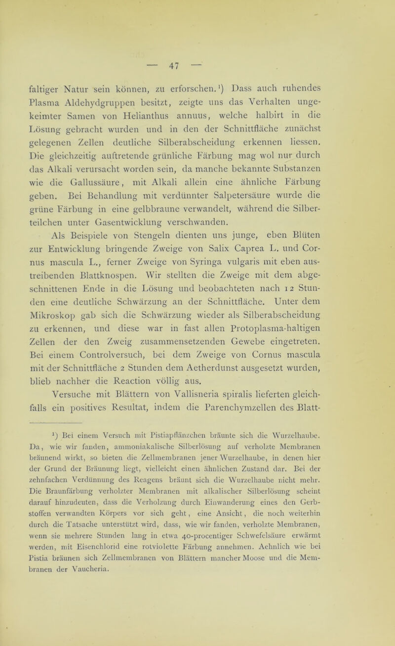 faltiger Natur sein können, zu erforschen.') Dass auch ruhendes Plasma Aldehydgruppen besitzt, zeigte uns das Verhalten unge- keimter Samen von Helianthus annuus, welche halbirt in die Lösung gebracht wurden und in den der Schnittfläche zunächst gelegenen Zellen deutliche Silberabscheidung erkennen Hessen. Die gleichzeitig auftretende grünliche Färbung mag wol nur durch das Alkali verursacht worden sein, da manche bekannte Substanzen wie die Gallussäure, mit Alkali allein eine ähnliche Färbung geben. Bei Behandlung mit verdünnter Salpetersäure wurde die grüne Färbung in eine gelbbraune verwandelt, während die Silber- teilchen unter Gasentwicklung verschwanden. Als Beispiele von Stengeln dienten uns junge, eben Blüten zur Entwicklung bringende Zweige von Salix Caprea L. und Cor- nus mascula L., ferner Zweige von Syringa vulgaris mit eben aus- treibenden Blattknospen. Wir stellten die Zweige mit dem abge- schnittenen Ende in die Lösung und beobachteten nach 12 Stun- den eine deutliche Schwärzung an der Schnittfläche. Unter dem Mikroskop gab sich die Schwärzung wieder als Silberabscheidung zu erkennen, und diese war in fast allen Protoplasma-haltigen Zellen der den Zweig zusammensetzenden Gewebe eingetreten. Bei einem Controlversuch, bei dem Zweige von Cornus mascula mit der Schnittfläche 2 Stunden dem Aetherdunst ausgesetzt wurden, blieb nachher die Reaction völlig aus. Versuche mit Blättern von Vallisneria spiralis lieferten gleich- falls ein positives Resultat, indem die Parenchymzellen des Blatt- y) Bei einem Versuch mit Pistiapflänzchen bräunte sich die Wurzelhaube. Da, wie wir fanden, ammoniakalische Silberlösung auf verholzte Membranen bräunend wirkt, so bieten die Zellmembranen jener Wurzelhaube, in denen hier der Grund der Bräunung liegt, vielleicht einen ähnlichen Zustand dar. Bei der zehnfachen Verdünnung des Reagens bräunt sich die Wurzelhaube nicht mehr. Die Braunfärbung verholzter Membranen mit alkalischer Silberlösung scheint darauf hinzudeuten, dass die Verholzung durch Einwanderung eines den Gerb- stoffen verwandten Körpers vor sich geht, eine Ansicht, die noch weiterhin durch die Tatsache unterstützt wird, dass, wie wir fanden, verholzte Membranen, wenn sie mehrere Stunden lang in etwa 40-procentiger Schwefelsäure erwärmt werden, mit Eisenchlorid eine rotviolette Färbung annehmen. Aehnlich wie bei Pistia bräunen sich Zellmembranen von Blättern mancher Moose und die Mem- branen der Vaucheria.