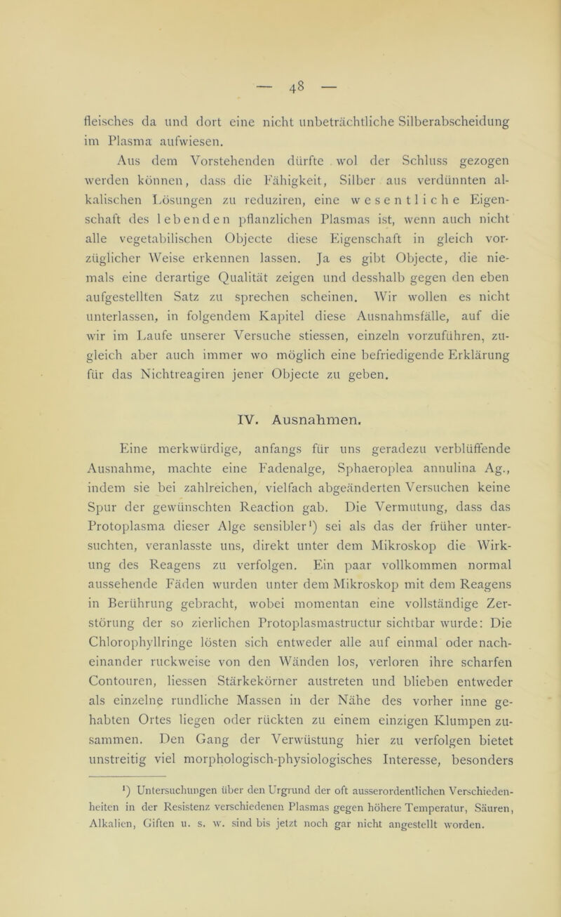 fleisches da und dort eine nicht unbeträchtliche Silberabscheidung im Plasma aufwiesen. Aus dem Vorstehenden dürfte wol der Schluss gezogen werden können, dass die Fähigkeit, Silber aus verdünnten al- kalischen Lösungen zu reduziren, eine wesentliche Eigen- schaft des lebenden pflanzlichen Plasmas ist, wenn auch nicht alle vegetabilischen Objecte diese Eigenschaft in gleich vor- züglicher Weise erkennen lassen. Ja es gibt Objecte, die nie- mals eine derartige Qualität zeigen und desshalb gegen den eben aufgestellten Satz zu sprechen scheinen. Wir wollen es nicht unterlassen, in folgendem Kapitel diese Ausnahmsfälle, auf die wir im Laufe unserer Versuche stiessen, einzeln vorzuführen, zu- gleich aber auch immer wo möglich eine befriedigende Erklärung für das Nichtreagiren jener Objecte zu geben. IV. Ausnahmen. Eine merkwürdige, anfangs für uns geradezu verblüffende Ausnahme, machte eine F'adenalge, Sphaeroplea annulina Ag., indem sie bei zahlreichen, vielfach abgeänderten Versuchen keine Spur der gewünschten Reaction gab. Die Vermutung, dass das Protoplasma dieser Alge sensibler1) sei als das der früher unter- suchten, veranlasste uns, direkt unter dem Mikroskop die Wirk- ung des Reagens zu verfolgen. Ein paar vollkommen normal aussehende Fäden wurden unter dem Mikroskop mit dem Reagens in Berührung gebracht, wobei momentan eine vollständige Zer- störung der so zierlichen Protoplasmastructur sichtbar wurde: Die Chlorophyllringe lösten sich entweder alle auf einmal oder nach- einander ruckweise von den Wänden los, verloren ihre scharfen Contouren, Hessen Stärkekörner austreten und blieben entweder als einzelne rundliche Massen in der Nähe des vorher inne ge- habten Ortes liegen oder rückten zu einem einzigen Klumpen zu- sammen. Den Gang der Verwüstung hier zu verfolgen bietet unstreitig viel morphologisch-physiologisches Interesse, besonders l) Untersuchungen über den Urgrund der oft ausserordentlichen Verschieden- heiten in der Resistenz verschiedenen Plasmas gegen höhere Temperatur, Säuren, Alkalien, Giften u. s. w. sind bis jetzt noch gar nicht angestellt worden.