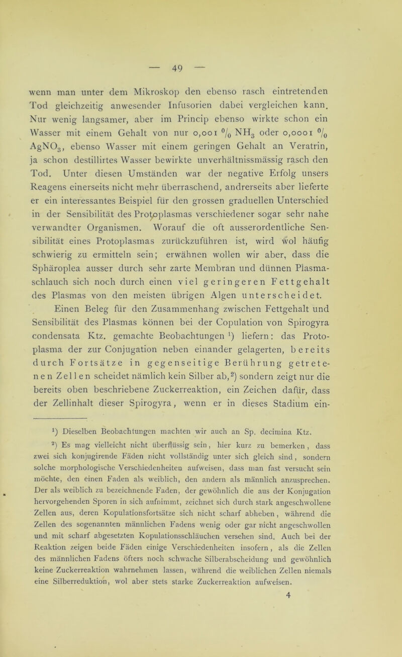 wenn man unter dem Mikroskop den ebenso rasch eintretenden Tod gleichzeitig anwesender Infusorien dabei vergleichen kann. Nur wenig langsamer, aber im Princip ebenso wirkte schon ein Wasser mit einem Gehalt von nur 0,001 °/0 NH3 oder 0,0001 °/0 AgN03, ebenso Wasser mit einem geringen Gehalt an Veratrin, ja schon destillirtes Wasser bewirkte unverhältnissmässig rasch den Tod. Unter diesen Umständen war der negative Erfolg unsers Reagens einerseits nicht mehr überraschend, andrerseits aber lieferte er ein interessantes Beispiel für den grossen graduellen Unterschied in der Sensibilität des Protoplasmas verschiedener sogar sehr nahe verwandter Organismen. Worauf die oft ausserordentliche Sen- sibilität eines Protoplasmas zurückzuführen ist, wird wol häufig schwierig zu ermitteln sein; erwähnen wollen wir aber, dass die Sphäroplea ausser durch sehr zarte Membran und dünnen Plasma- schlauch sich noch durch einen viel geringeren Fettgehalt des Plasmas von den meisten übrigen Algen unterscheidet. Einen Beleg für den Zusammenhang zwischen Fettgehalt und Sensibilität des Plasmas können bei der Copulation von Spirogyra condensata Ktz. gemachte Beobachtungen *) liefern: das Proto- plasma der zur Conjugation neben einander gelagerten, bereits durch Fortsätze in gegenseitige Berührung getrete- nen Zellen scheidet nämlich kein Silber ab,* 2) sondern zeigt nur die bereits oben beschriebene Zuckerreaktion, ein Zeichen dafür, dass der Zellinhalt dieser Spirogyra, wenn er in dieses Stadium ein- *) Dieselben Beobachtungen machten wir auch an Sp. decimina Ktz. 2) Es mag vielleicht nicht überflüssig sein, hier kurz zu bemerken , dass zwei sich konjugirende Fäden nicht vollständig unter sich gleich sind, sondern solche morphologische Verschiedenheiten aufweisen, dass man fast versucht sein möchte, den einen Faden als weiblich, den andern als männlich anzusprechen. Der als weiblich zu bezeichnende Faden, der gewöhnlich die aus der Konjugation hervorgehenden Sporen in sich aufnimmt, zeichnet sich durch stark angeschwollene Zellen aus, deren Kopulationsfortsätze sich nicht scharf abheben , während die Zellen des sogenannten männlichen Fadens wenig oder gar nicht angeschwollen und mit scharf abgesetzten Kopulationsschläuchen versehen sind. Auch bei der Reaktion zeigen beide Fäden einige Verschiedenheiten insofern , als die Zellen des männlichen Fadens öfters noch schwache Silberabscheidung und gewöhnlich keine Zuckerreaktion wahrnehmen lassen, während die weiblichen Zellen niemals eine Silberreduktion, wol aber stets starke Zuckerreaktion aufweisen. 4