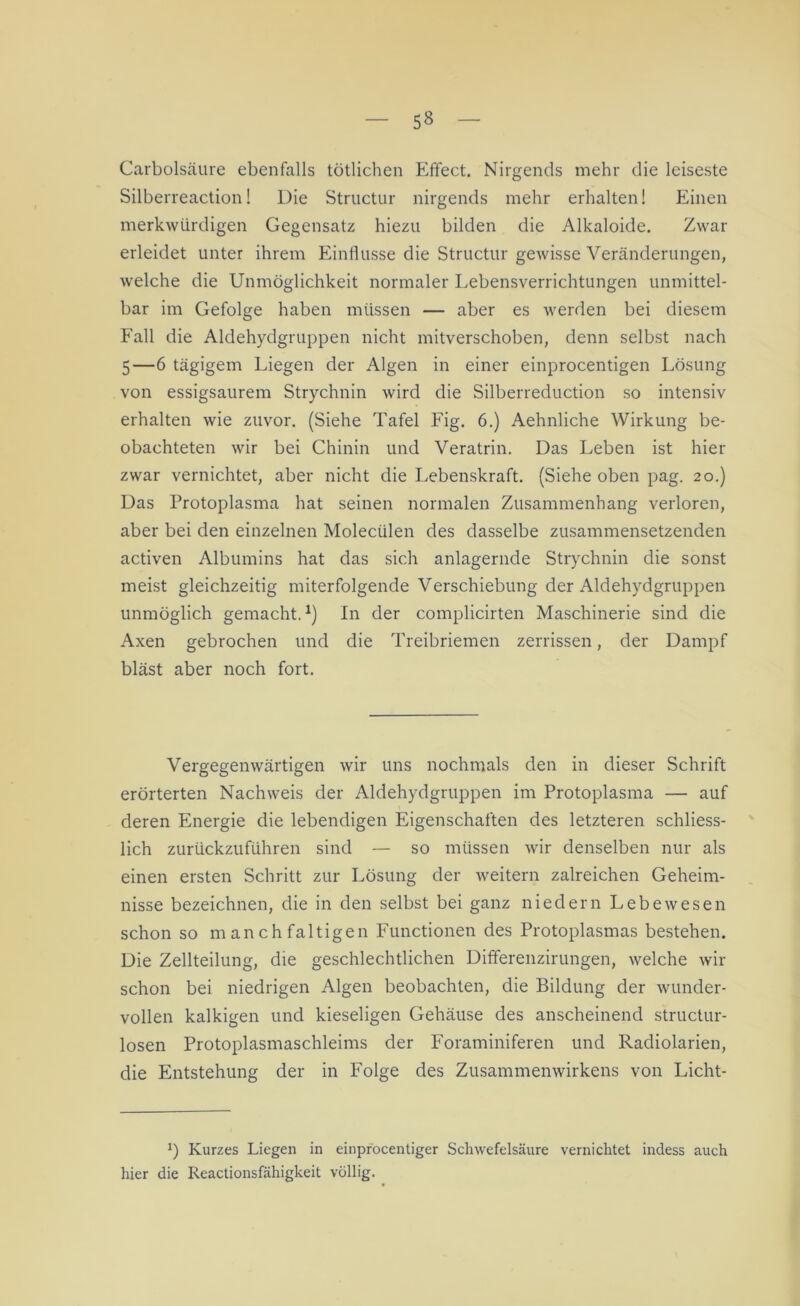 5» Carbolsäure ebenfalls tötlichen Effect. Nirgends mehr die leiseste Silberreaction! Die Structur nirgends mehr erhalten! Einen merkwürdigen Gegensatz hiezu bilden die Alkaloide. Zwar erleidet unter ihrem Einflüsse die Structur gewisse Veränderungen, welche die Unmöglichkeit normaler Lebensverrichtungen unmittel- bar im Gefolge haben müssen — aber es werden bei diesem Fall die Aldehydgruppen nicht mitverschoben, denn selbst nach 5—6 tägigem Liegen der Algen in einer einprocentigen Lösung von essigsaurem Strychnin wird die Silberreduction so intensiv erhalten wie zuvor. (Siehe Tafel Fig. 6.) Aehnliche Wirkung be- obachteten wir bei Chinin und Veratrin. Das Leben ist hier zwar vernichtet, aber nicht die Lebenskraft. (Siehe oben pag. 20.) Das Protoplasma hat seinen normalen Zusammenhang verloren, aber bei den einzelnen Molecülen des dasselbe zusammensetzenden activen Albumins hat das sich anlagernde Strychnin die sonst meist gleichzeitig miterfolgende Verschiebung der Aldehydgruppen unmöglich gemacht.1) In der complicirten Maschinerie sind die Axen gebrochen und die Treibriemen zerrissen, der Dampf bläst aber noch fort. Vergegenwärtigen wir uns nochmals den in dieser Schrift erörterten Nachweis der Aldehydgruppen im Protoplasma — auf deren Energie die lebendigen Eigenschaften des letzteren schliess- lich zurückzuführen sind — so müssen wir denselben nur als einen ersten Schritt zur Lösung der weitern zalreichen Geheim- nisse bezeichnen, die in den selbst bei ganz niedern Lebewesen schon so m an ch faltigen Functionen des Protoplasmas bestehen. Die Zellteilung, die geschlechtlichen Differenzirungen, welche wir schon bei niedrigen Algen beobachten, die Bildung der wunder- vollen kalkigen und kieseligen Gehäuse des anscheinend structur- losen Protoplasmaschleims der Foraminiferen und Radiolarien, die Entstehung der in Folge des Zusammenwirkens von Licht- *) Kurzes Liegen in einprocentiger Schwefelsäure vernichtet indess auch hier die Reactionsfähigkeit völlig.