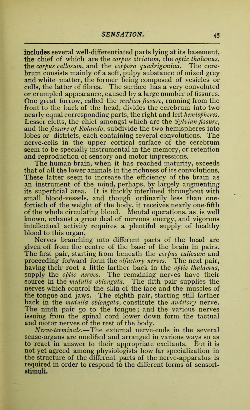 includes several well-differentiated parts lying at its basement, the chief of which are the corpus striatum, the optic thalamus, the corpus callosum, and the corpora quadrigemina. The cere- brum consists mainly of a soft, pulpy substance of mixed grey and white matter, the former being composed of vesicles or cells, the latter of fibres. The surface has a very convoluted or crumpled appearance, caused by a large number of fissures. One great furrow, called the median fissure, running from the front to the back of the head, divides the cerebrum into two nearly equal corresponding parts, the right and left hemispheres. Lesser clefts, the chief amongst which are the Sylvian fissure, and the fissure of Rolando, subdivide the two hemispheres into lobes or districts, each containing several convolutions. The nerve-cells in the upper cortical surface of the cerebrum seem to be specially instrumental in the memory, or retention and reproduction of sensory and motor impressions. The human brain, when it has reached maturity, exceeds that of all the lower animals in the richness of its convolutions. These latter seem to increase the efficiency of the brain as an instrument of the mind, perhaps, by largely augmenting its superficial area. It is thickly interlined throughout with small blood-vessels, and though ordinarily less than one- fortieth of the weight of the body, it receives nearly one-fifth of the whole circulating blood. Mental operations, as is well known, exhaust a great deal of nervous energy, and vigorous intellectual activity requires a plentiful supply of healthy blood to this organ. Nerves branching into different parts of the head are given off from the centre of the base of the brain in pairs. The first pair, starting from beneath the corpus callosum and proceeding forward form the olfactory nerves. The next pair, having their root a little farther back in the optic thalamus, supply the optic nerves. The remaining nerves have their source in the medulla oblongata. The fifth pair supplies the nerves which control the skin of the face and the muscles of the tongue and jaws. The eighth pair, starting still farther back in the medulla oblongata, constitute the auditory nerve. The ninth pair go to the tongue; and the various nerves issuing from the spinal cord lower down form the tactual and motor nerves of the rest of the body. Nerve-terminals.—The external nerve-ends in the several sense-organs are modified and arranged in various ways so as to react in answer to their appropriate excitants. But it is not yet agreed among physiologists how far specialization in the structure of the different parts of the nerve-apparatus is required in order to respond to the different forms of sensori- stimuli.