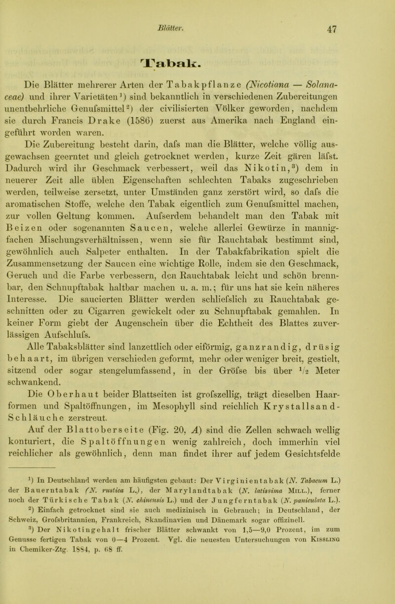 Die Blätter mehrerer Arten der Tabak pflanze (Nicotiana — SoJana- ceae) und ihrer Varietäten^) sind bekanntlich in verschiedenen Zubereitungen unentbehrliche Genufsinittel-) der civilisierten Völker geworden, nachdem sie durch Francis Drake (1586) zuerst aus Amerika nach England ein- geführt worden waren. Die Zubereitung besteht darin, dafs man die Blätter, welche völlig aus- gewachsen geerntet und gleich getrocknet werden, kurze Zeit gären läfst. Dadurch wird ihr Greschmack verbessert, weil das Nikotin,^) dem in neuerer Zeit alle üblen Eigenschaften schlechten Tabaks zugeschrieben werden, teilweise zersetzt, unter Umständen ganz zerstört wird, so dafs die aromatischen Stoffe, welche den Tabak eigentlich zum Genufsmittel machen, zur vollen Geltung kommen. Aufserdem behandelt man den Tabak mit Beizen oder sogenannten Saucen, welche allerlei Gewürze in mannig- fachen Mischungsverhältnissen, wenn sie für Rauchtabak bestimmt sind, gewöhnlich auch Salpeter enthalten. In der Tabakfabrikation spielt die Zusammensetzung der Saucen eine wichtige Rolle, indem sie den Geschmack, Geruch und die Farbe verbessern, den Rauchtabak leicht und schön brenn- bar, den Schnupftabak haltbar machen u. a. m.; für uns hat sie kein näheres Interesse. Die saucierten Blätter werden schliefslich zu Rauchtabak ge- schnitten oder zu Cigarren gewickelt oder zu Schnupftabak gemahlen. In keiner Form giebt der Augenschein über die Echtheit des Blattes zuver- lässigen Aufschlufs. Alle Tabaksblätter sind lanzettlich oder eiförmig, ganz r an d ig, drüsig behaart, im übrigen verschieden geformt, mehr oder weniger breit, gestielt, sitzend oder sogar stengelumfassend, in der Gröfse bis über ^/2 Meter schwankend. Die Oberhaut beider Blattseiten ist grofszellig, trägt dieselben Haar- formen und Spaltöffnungen, im Mesophyll sind reichlich Krystallsand- Schläuche zerstreut. Auf der Blattoberseite (Fig. 20, Ä) sind die Zellen schwach wellig konturiert, die Spaltöffnungen wenig zahlreich, doch immerhin viel reichlicher als gewöhnlich, denn man findet ihrer auf jedem Gesichtsfelde In Deutschland werden am häufigsten gebaut: Der Virginientabak (N. Tahacum L.) der Bauerntabak (N. rustica L.j, der Marylandtabak (i\^. latissima Mill.), ferner noch der Türkische Tabak {N. chincnsis'L) und der Jungferntabak {N. paniculatal^.). Einfach getrocknet sind sie auch medizinisch in Gebrauch; in Deutschland, der Schweiz, Grofsbritannien, Frankreich, Skandinavien und Dänemark sogar offizinell. Der Nikotin ge halt frischer Blätter schwankt von 1,5—9,0 Prozent, im zum Genüsse fertigen Tabak von 0—4 Prozent. Vgl. die neuesten Untersuchungen von Kissling in Chemiker-Ztg. 18S4, p. 08 ff.