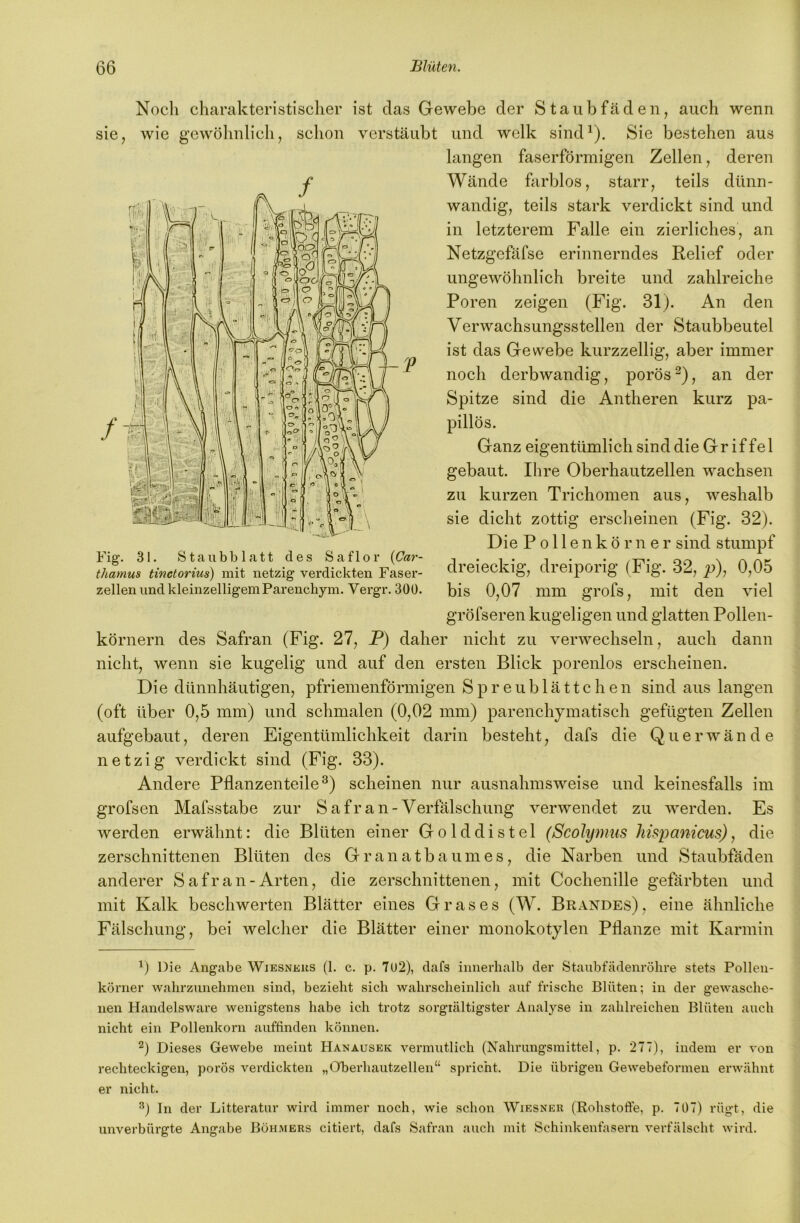 Noch charakteristischer ist das Gewebe der Staubfäden, auch wenn sie, wie gewöhnlich, schon verstäubt und welk sind^). Sie bestehen aus langen faserförmigen Zellen, deren Wände farblos, starr, teils dünn- wandig, teils stark verdickt sind und in letzterem Falle ein zierliches, an Netzgefäfse erinnerndes Relief oder ungewöhnlich breite und zahlreiche Poren zeigen (Fig. 31). An den Verwachsungsstellen der Staubbeutel ist das Gewebe kurzzellig, aber immer noch derbwandig, porös , an der Spitze sind die Antheren kurz pa- pillös. Ganz eigentümlich sind die Gr if fe l gebaut. Ihre Oberhautzellen wachsen zu kurzen Trichomen aus, weshalb sie dicht zottig erscheinen (Fig. 32). Die P 011 e n k ö r n e r sind stumpf thamus tinctorius) mit netzig verdickten Faser- dieiecklg, dieipoilg (Fig. 32,^), 0,05 zellen und kleinzelligem Parenchym. Vergr.30Ü. bis 0,07 mm grofs, mit den viel gröfseren kugeligen und glatten Pollen- körnern des Safran (Fig. 27, P) daher nicht zu verwechseln, auch dann nicht, wenn sie kugelig und auf den ersten Blick porenlos erscheinen. Die dünnhäutigen, pfriemenförmigen Spreublättchen sind aus langen (oft über 0,5 mm) und schmalen (0,02 mm) parenchymatisch gefügten Zellen aufgebaut, deren Eigentümlichkeit darin besteht, dafs die Querwände netzig verdickt sind (Fig. 33). Andere Pflanzenteile ^) scheinen nur ausnahmsweise und keinesfalls im grofsen Mafsstabe zur S a f r a n - Verfälschung verwendet zu werden. Es werden erwähnt: die Blüten einer Golddistel (Scolymus hispanicus) ^ die zerschnittenen Blüten des Granatbaumes, die Narben und Staubfäden anderer Safran-Arten, die zerschnittenen, mit Cochenille gefärbten und mit Kalk beschwerten Blätter eines Grases (W. Brandes) , eine ähnliche Fälschung, bei welcher die Blätter einer monokotylen Pflanze mit Karmin Die Angabe Wiesnkus (1. c. p. 7U2), dafs innerhalb der Staubfädenröhre stets Pollen- körner wahrzunehmen sind, bezieht sich wahrscheinlich auf frische Blüten; in der gewasche- nen Handelsware wenigstens habe ich trotz sorgrältigster Analyse in zahlreichen Blüten auch nicht ein Pollenkorn auftinden können. Dieses Gewebe meint Hanauseic vermutlich (Nahrungsmittel, p. 277), indem er von rechteckigen, porös verdickten „Oberhautzellen“ spricht. Die übrigen Gewebeformeu erwähnt er nicht. ln der Litteratur wird immer noch, wie schon Wiesnek (Rohstoffe, p. TOT) rügt, die unverbürgte Angabe Böhmers citiert, dafs Safran auch mit Schinkenfasern verfälscht wird. 1 ! i * 1 \ \ l i i i 1