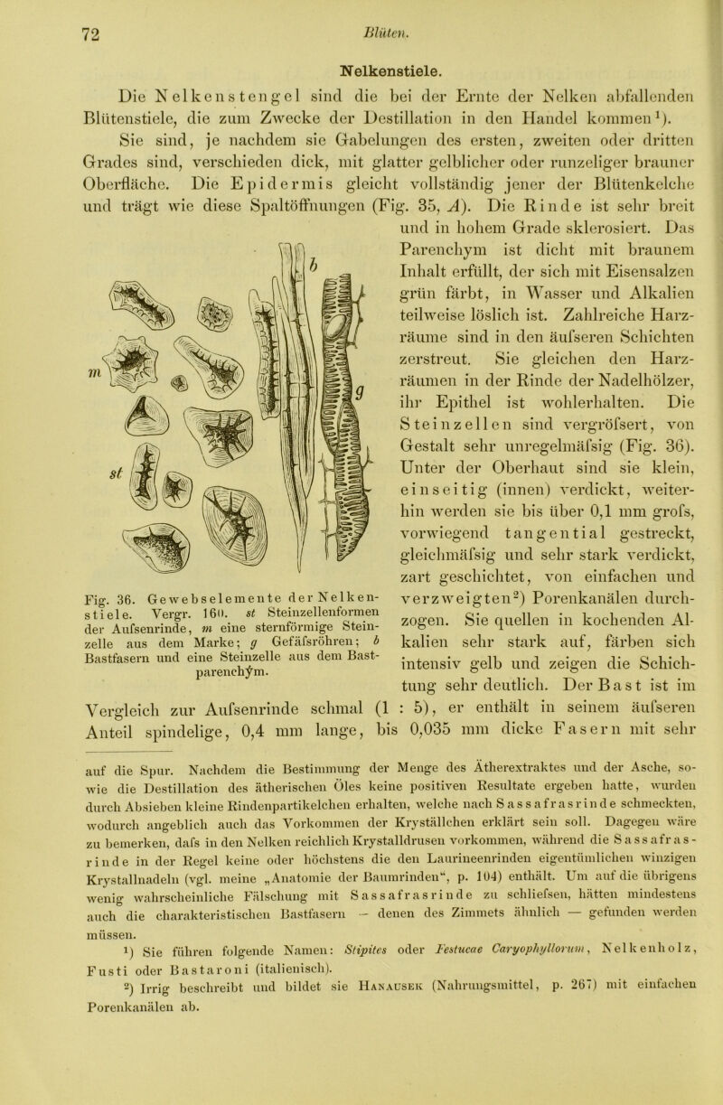 Nelkenstiele. Die Nelkens tengel sind die bei der Ernte der Nelken aljfallenden Bltltenstiele, die zum Zwecke der Destillation in den Handel kommen \). Sie sind, je nachdem sie Gabelungen des ersten, zweiten oder dritten Grades sind, verschieden dick, mit glatter gelbliclicr oder runzeliger brauner Oberfläche. Die Epidermis gleicht vollständig jener der Blütenkelche und trägt wie diese SpaltöfFiiungen (Fig. 35, Ä). Die Rinde ist sehr breit Fig. 36. Gewebselemente der Nelken- stiele. Vergr. 16(1. st Steinzellenformen der Aufsenrinde, ni eine sternförmige Stein- zelle aus dem Marke; g Gefäfsröhren; b Bastfasern und eine Steinzelle aus dem Bast- parench;^m. Vergleich Anteil spindelige und in hohem Grade sklerosiert. Das Parenchym ist dicht mit braunem Inhalt erfüllt, der sich mit Eisensalzen grün färbt, in Wasser und Alkalien teilweise löslich ist. Zahlreiche Harz- räume sind in den äufseren Schichten zerstreut. Sie gleichen den Harz- räumen in der Rinde der Nadelhölzer, ihr Epithel ist wohlerhalten. Die Stein zellen sind vergröfsert, von Gestalt sehr unregelmäfsig (Fig. 36). Unter der Oberhaut sind sie klein, einseitig (innen) verdickt, weiter- hin werden sie bis über 0,1 mm grofs, vorwiegend tangential gestreckt, gleichmäfsig und sehr stark verdickt, zart geschichtet, von einfachen und verzweigten^) Porenkanälen durch- zogen. Sie quellen in kochenden Al- kalien sehr stark auf, färben sich intensiv gelb und zeigen die Schich- tung sehr deutlich. Der Bast ist im seinem äufseren dicke Fasern mit sehr zur Aufsenrinde schmal (1 : 5), er enthält in 0,4 mm lange, bis 0,035 mm auf die Spur. Nachdem die Bestimmung der Menge des Ätherextraktes und der Asche, so- wie die Destillation des ätherischen Öles keine positiven Resultate ergehen hatte, wurden durch Ahsiehen kleine Rindenpartikelchen erhalten, welche nach S a s s a f r a s r in d e schmeckten, wodurch angehlich auch das Vorkommen der Kryställchen erklärt sein soll. Dagegen wäre zu hemerken, dafs in den Nelken reichlichKrystalldrusen Vorkommen, während die Sassafras- rinde in der Regel keine oder höchstens die den Laurineenrinden eigentümlichen winzigen Kiystallnadeln (vgl. meine „Anatomie der Baumrinden“, p. 104) enthält. Um auf die ührigens wenig wahrscheinliche Fälschung mit Sassafras rin de zu schliefsen, hätten mindestens auch die charakteristischen Bastfasern - denen des Zimmets ähnlich — gefunden werden müssen. 1) Sie führen folgende Namen: Stipitcs oder Festucae Caryophyllornm, Nelkenholz, Fusti oder Bastaroni (italienisch). 2) Irrig heschreiht und bildet sie Hanausek (Nahrungsmittel, p. 267) mit einfachen Porenkanälen ab.