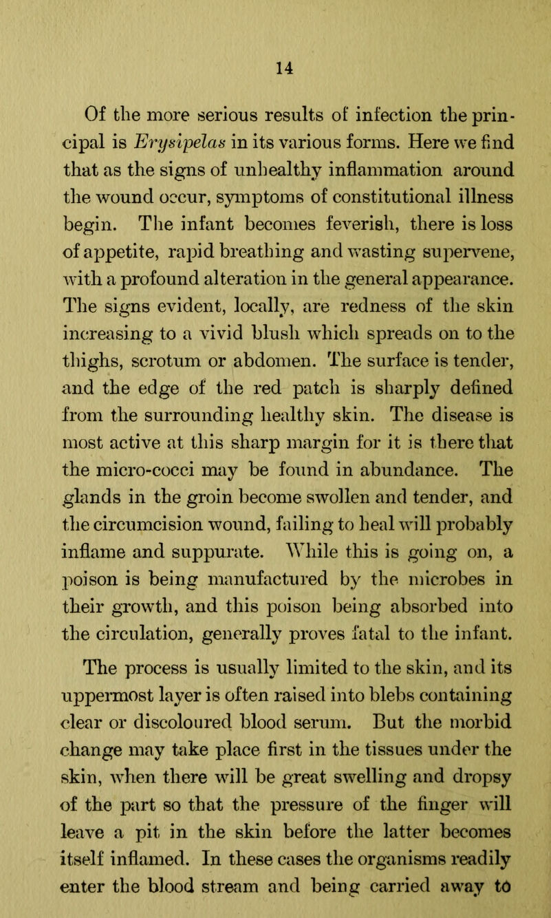 Of the more serious results of infection the prin- cipal is E7'ijsipelas in its various forms. Here we find that as the signs of millealthy inflammation around the wound occur, symptoms of constitutional illness begin. The infant becomes feverish, there is loss of appetite, rapid breathing and wasting supervene, wdth a profound alteration in the general appearance. The signs evident, locally, are redness of the skin increasing to a vivid blush which spreads on to the thighs, scrotum or abdomen. The surface is tender, and the edge of the red patch is sharply defined from the surrounding healthy skin. The disease is most active at this sharp margin for it is there tliat the micro-cocci may be found in abundance. The glands in the groin become swollen and tender, and the circumcision wound, failing to heal will probably inflame and suppurate. While this is going on, a poison is being manufactured by the microbes in their growth, and this poison being absorbed into the circulation, generally proves fatal to the infant. The process is usually limited to the skin, and its uppeiTOOst layer is often raised into blebs containing clear or discoloured blood serum. But the morbid change may take place first in the tissues under the skin, when there will be great swelling and dropsy of the part so that the pressure of the finger will leave a pit in the skin before the latter becomes itself inflamed. In these cases the organisms readily enter the blood stream and being carried away to