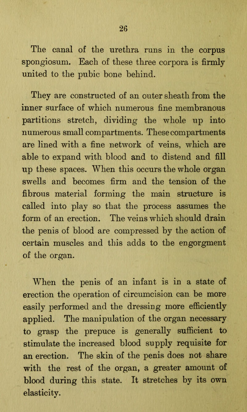 The canal of the urethra runs in the corpus spongiosum. Each of these three corjDora is firmly united to the pubic bone behind. They are constructed of an outer sheath from the inner surface of which numerous fine membranous partitions stretch, dividing the whole up into numerous small compartments. These compartments are lined with a fine network of veins, which are able to expand with blood and to distend and fill up these spaces. When this occurs the whole organ swells and becomes firm and the tension of the fibrous material forming the main structure is called into play so that the process assumes the form of an erection. The veins which should drain the penis of blood are compressed by the action of certain muscles and this adds to the engorgment of the organ. When the penis of an infant is in a state of erection the oj^eration of circumcision can be more easily performed and the dressing more efficiently applied. The manipulation of the organ necessary to grasp the prepuce is generally sufficient to stimulate the increased blood supply requisite for an erection. The skin of the penis does not share with the rest of the organ, a greater amount of blood during this state. It stretches by its own elasticity.