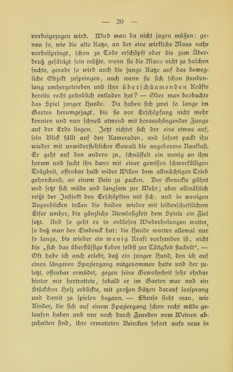 üorbcigesogen t»trb. XDirb man ba nicht fagcu müffen: ge* nau fo, mie bie alte Kafce, an bcr eine toirFIidrjc ZTCaus nahe »orbeifpringt, fd]on 311 CEobe crfchöpft ober bis 5iun Über« brufj gefätligt fein müßte, memt fte bie Klaus nicht 3U hafd]en fuchte, gerabe fo mirb and] bie junge Kaße auf bas bemeg* liehe ©bjeft 3ufpringen, aud] menn fie fid] fd]on ftunben* lang umhergetrieben unb ibjrc überfd]äumenben Kräfte bereits recht grünblich entlaben Iiat? — ©ber man beobad]te bas Spiel junger 2><* hab*n fid] 3mei fo lange im (Sarten henimgejagt, bis fic uor <£rfd]öpfung nicht mehr fonnten unb nun fd]nell atmenb mit herausbängenber <§unge auf ber Erbe liegen. 3et5t richtet fid] ber eine ctmas auf, fein Slicf fällt auf ben Kameraben, unb fofort padt ihn mieber mit unmiberftehlicher (Scmalt bie angeborene Haufluft. Er geht auf ben anbern 511, fchniiffelt ein menig an ihm herum unb fud)t ihn bann mit einer gemiffen fd]merfäüigen Crägheit, offenbar halb miber Xüillen bem allmächtigen ©rieb gehorchenb, an einem Sein 511 pacFen. ©er (SenecFte gähnt unb feßt fid] mübe unb langfam 3ur IDehr; aber allmählich reißt ber 3nftinft ben Erfchöpften mit fid], unb in menigen Kuaenblicfcn tollen bie beiben mieber mit leibenfd]aftlid]em Eifer umher, bis gäti3lid]e Ktemlofigfeit bem Spiele ein ^iel feßt. ltnb fo geht es in enblofen i£)ieberl]olungen tocitcr, fo baß man ben Einbruch hat: bie bjnnbe märten allemal nur fo lange, bis mieber ein menig Kraft oorl]anben ift, nicht bis „fid] bas überflüffige leben felbft 31m ©ätigfeit ftad]elt. — ©ft l}abe id] and] erlebt, baß ein junger £]un^ ben id] auf einen längeren Spa3iergang mitgenommen hatte unb ber 3m leßt, offenbar ermübet, gegen feine (Semohnl]eit fcbjr ebrbar hinter mir I^ertrottcte, fobalb er im (Sarten mar unb ein Stiicfchen fjolj erblicfte, mit großen Säßen barauf losfprang unb batnit 3U fpielen begann. — cEbcufo fielet man, mie Kinber, bie fid] auf einem Spa3iergang fd]on red]t mübe ge* laufen haben unb nur nod] burd] §ureben t>om IDeinen ab* 3uhalten fmb, ihre ermatteten Seind]cn fofort aufs neue in