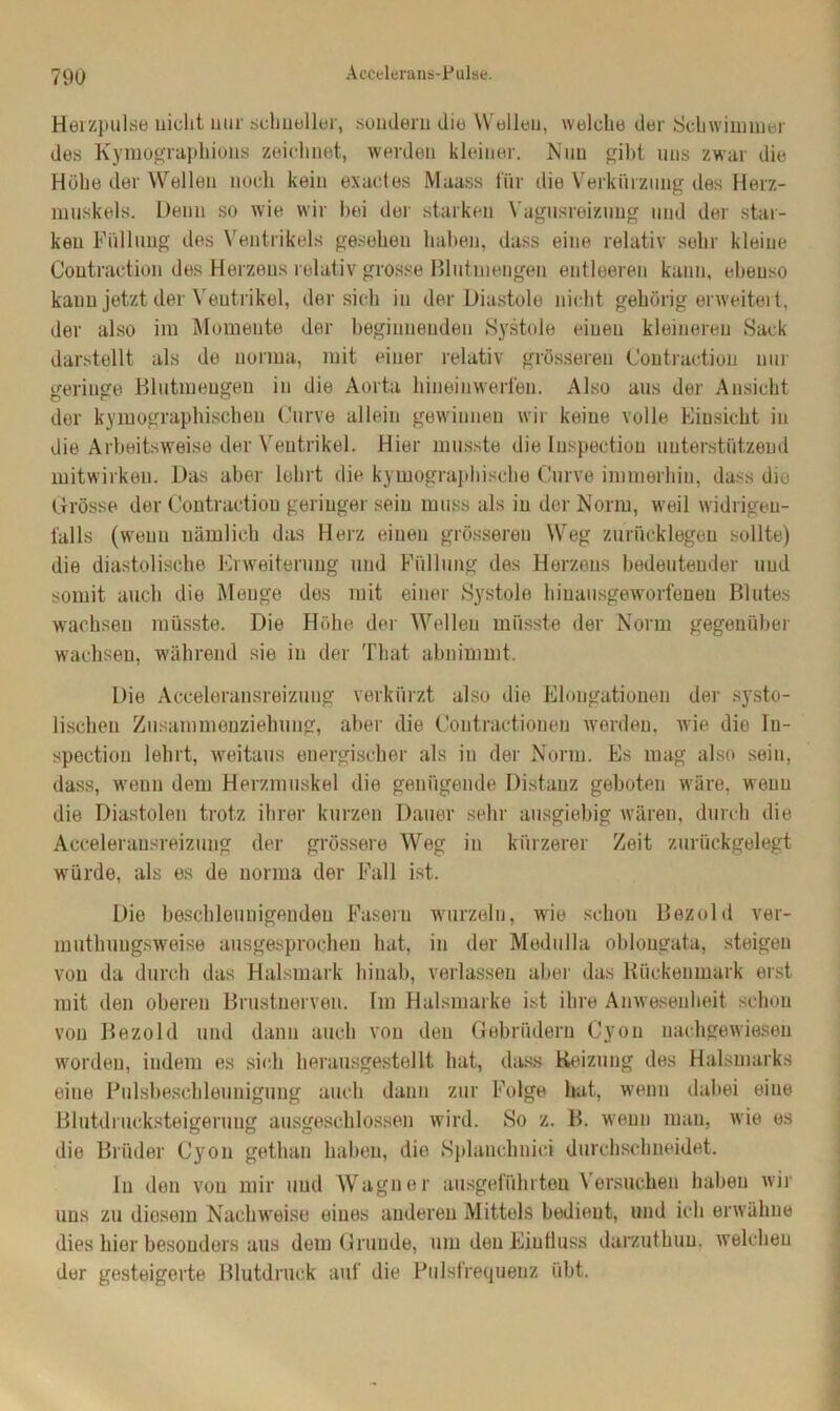 Heizpulse nicht uur schneller, sondern diu Wellen, welche der Schwimmer des Kymographions zeichnet, werden kleiner. Nun gibt uns zwar die Hübe der Wellen noch kein exactes Maass für die Verkürzung des Herz- muskels. Denn so wie wir bei der starken Vagusreizung und der star- ken Füllung des Ventrikels gesehen haben, dass eine relativ sehr kleine Coutraetion des Herzens relativ grosse Blut mengen entleeren kann, ebenso kann jetzt der Ventrikel, der sich in der Diastole nicht gehörig erweitert, der also im Momente der beginnenden Systole einen kleineren Sack darstellt als de uorma, mit einer relativ grösseren Coutraetion uur geriuge Blutmeugen in die Aorta hiueinwerfen. Also aus der Ansicht der kymographischeu Curve allein gewinnen wir keine volle Einsicht in die Arbeitsweise der Ventrikel. Hier musste die luspectiou unterstützend mitwirkeu. Das aber lehrt die kymographische Curve immerhin, dass die Grösse der Coutraetion geringer sein muss als in der Norm, weil widrigen- falls (wenn nämlich das Herz einen grösseren Weg zurücklegen sollte) die diastolische Erweiterung und Füllung des Herzens bedeutender und somit auch die Menge des mit einer Systole hiuausgeworfeneu Blutes wachsen müsste. Die Höhe der Wellen müsste der Norm gegenüber wachsen, während sie in der That abnimmt. Die Acceleransreizuug verkürzt also die Elongationen der systo- lischen Zusammenziehung, aber die Coutractionen werden, wie die Iu- spection lehrt, weitaus energischer als in der Norm. Es mag also sein, dass, wenn dem Herzmuskel die genügende Distanz geboten wäre, wenn die Diastolen trotz ihrer kurzen Dauer sehr ausgiebig wären, durch die Acceleransreizuug der grössere Weg in kürzerer Zeit zurückgelegt würde, als es de uorma der Fall ist. Die beschleunigenden Fasern wurzeln, wie schon Bezold ver- muthungsweise ausgesprochen hat, in der Medulla oblongata, steigen von da durch das Halsmark hinab, verlassen aber das Rückenmark erst mit den oberen Brustnerven. Im Halsmarke ist ihre Anwesenheit schon von Bezold und dann auch von den Gebrüdern Cyon uachgewieseu worden, indem es sich herausgestellt hat, dass Reizung des Halsmarks eine Pulsbeschleunigung auch dann zur Folge hat, wenn dabei eine Blutdrucksteigerung ausgeschlossen wird. So z. B. wenn man, wie es die Brüder Cyon gethan haben, die Splanchuici durchschneidet. ln den von mir und Wagner ausgeführten Versuchen haben wir uns zu diesem Nachweise eines anderen Mittels bedient, und ich erwähne dies hier besonders aus dem Grunde, um den Einfluss darzuthuu. welchen der gesteigerte Blutdruck auf die Pulsfrequenz übt.