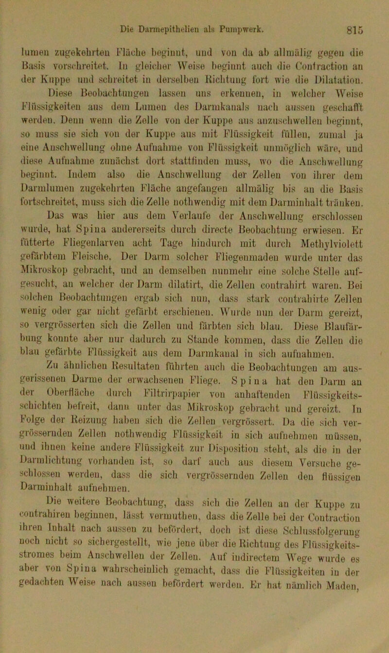 hauen zugekehrteu Flüche begiuut, und von da ab allmülig gegen die Basis vorsehreitet. In gleicher Weise beginnt auch die Contraction an der Klippe und schreitet in derselben Richtung fort wie die Dilatation. Diese Beobachtungen lassen uns erkennen, in welcher Weise Flüssigkeiten aus dem Lumen des Darmkanals nach aussen geschafft werden. Denn wenn die Zolle von der Kuppe aus anzuschwellen beginnt, so muss sie sich vou der Kuppe aus mit Flüssigkeit füllen, zumal ja eine Anschwellung ohne Aufnahme von Flüssigkeit unmöglich wäre, und diese Aufuahme zunächst dort stattfinden muss, wo die Anschwellung beginnt. Indem also die Anschwellung der Zellen vou ihrer dem Darmlumen zugekehrten Fläche augefangen allmülig bis an die Basis fortschreitet, muss sich die Zelle nothwendig mit dem Darminhalt tränken. Das was hier aus dem Verlaufe der Anschwellung erschlossen wurde, hat Spina andererseits durch directe Beobachtung erwiesen. Er fütterte Fliegenlarven acht Tage hindurch mit durch Methylviolett gefärbtem Fleische. Der Darm solcher Fliegenmadeu wurde unter das Mikroskop gebracht, und au demselben nunmehr eine solche Stelle auf- gesucht, an welcher der Darm dilatirt, die Zellen contrahirt waren. Bei solchen Beobachtungen ergab sich nun, dass stark contrahirte Zellen wenig oder gar nicht, gefärbt erschienen. Wurde nun der Darm gereizt, so vergrösserteu sich die Zellen und färbten sich blau. Diese Blaufär- bung konnte aber nur dadurch zu Stande kommen, dass die Zelleu die blau gefärbte Flüssigkeit aus dem Darmkaual in sich aufnahmen. Zu ähnlichen Resultaten führten auch die Beobachtungen am aus- gerissenen Darme der erwachsenen Fliege. Spina hat den Darm an der Oberfläche durch Filtrirpapier von anhaftenden Flüssigkeits- schichten befreit, dann unter das Mikroskop gebracht und gereizt, lu Folge der Reizung haben sich die Zellen vergrössert. Da die sich ver- grössemden Zellen nothw’eudig Flüssigkeit in sich aufnehmeu müssen, und ihnen keine andere Flüssigkeit zur Disposition steht, als die in der Daimlichtuug vorhanden ist, so darf auch aus diesem Versuche ge- schlossen werden, dass die sich vergrösserndeu Zellen den flüssigen Darminhalt aufnehmen. Die weitere Beobachtung, dass sich die Zelleu au der Kuppe zu coutrahiren beginnen, lässt vormutheu, dass die Zelle bei der Coutraction ihien Inhalt nach aussen zu befördert, doch ist diese Schlussfolgerung noch nicht so sichergestellt, wie jene über die Richtung des Flüssigkeits- stromes beim Anschwellen der Zelleu. Auf iudirectem Wege wurde es abei \on Spina wahrscheinlich gemacht, dass die Flüssigkeiten in der gedachten \\ eise nach aussen befördert werden. Er hat nämlich Maden,