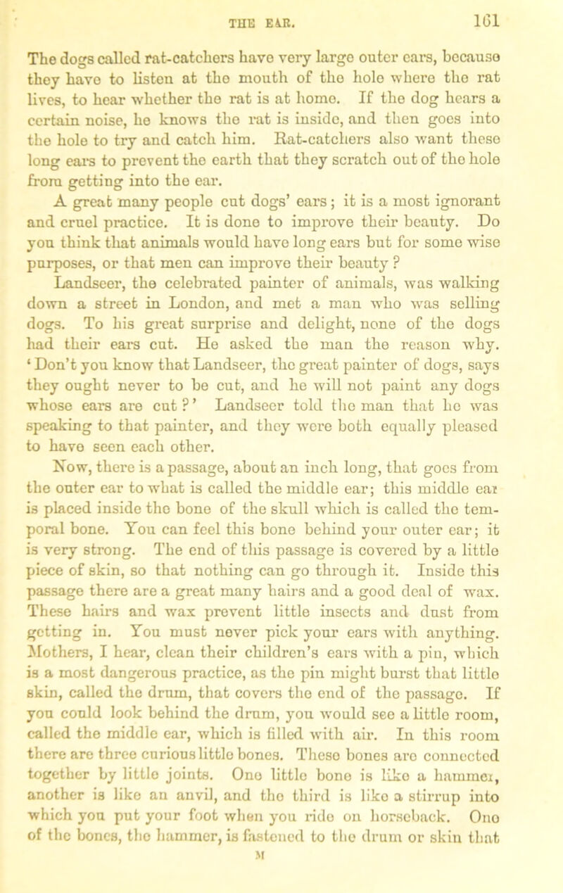 The dogs called rat-catchers have very large outer cars, because they have to listen at the mouth of the hole where the rat lives, to hear whether the rat is at homo. If the dog hears a certain noise, he knows the rat is inside, and then goes into the hole to try and catch him. Rat-catchers also want these long ears to prevent the earth that they scratch out of the hole from getting into the ear. A great many people cut dogs’ ears; it is a most ignorant and cruel practice. It is done to improve their beauty. Do yon think that animals would have long ears but for some wise purposes, or that men can improve their beauty ? Landseer, the celebrated painter of animals, was walking down a street in London, and met a man who was selling dogs. To his great surprise and delight, none of the dogs had their ears cut. He asked the man the reason why. ‘ Don’t you know that Landseer, the great painter of dogs, says they ought never to be cut, and he will not paint any dogs whose ears are cut P ’ Landseer told the man that ho was speaking to that painter, and they were both equally pleased to have seen each other. Now, there is a passage, about an inch long, that goes from the outer ear to what is called the middle ear; this middle eai is placed inside the bone of the skull which is called the tem- poral bone. You can feel this bone behind your outer ear; it is very strong. The end of this passage is covered by a little piece of skin, so that nothing can go through it. Inside this passage there are a great many hairs and a good deal of wax. These hairs and wax prevent little insects and dust from getting in. You must never pick your ears with anything. Mothers, I hear, clean their children’s ears with a pin, which is a most dangerous practice, as the pin might burst that littlo skin, called the drum, that covers the end of the passage. If yon could look behind the drum, you would see a little room, called the middle ear, which is filled with air. In this room there are three curious littlo bones. These bones aro connected together by littlo joints. Ono little bone is Kko a hammer, another is like an anvil, and the third is like a stirrup into which you put your foot when you ride on horseback. Ono of the bones, the hammer, is fastened to the drum or skin that M