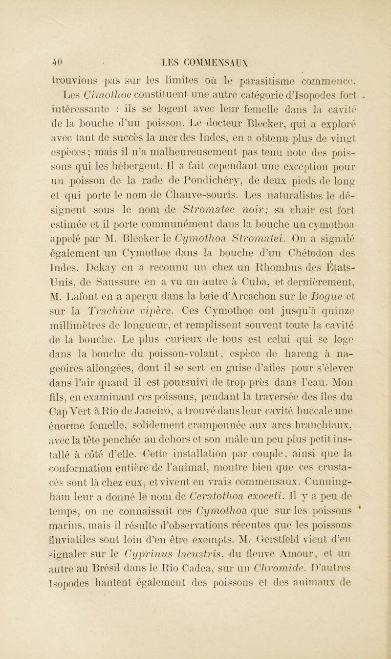 trouvions pas sur les limites où le parasitisme commence. Les C/niot/me constituent une antre catégorie d’isopodes fort intéressante : ils so logent avec leur femelle dans la cavité de la bouche d’un poisson. Le doctenr Blccker, qui a exploré avec tant de succès la mer des Indes, en a obtenu plus de vingt espèces ; mais il n’a mallieureusement pas tenu note des pois- sons qui les hébergent. 11 a fait cependant une exception pour un poisson de la rade de Pondichéry, de deux pieds de long et qui porte le nom do Chauve-souris. Les naturalistes le dé- signent sous le nom de Stromatee noir; sa chair est fort estimée et il porto cominTinément dans la bouche un cymothoa appelé par M. Bleeker le Cymothoa Stromatei. On a signalé également un Cymothoe dans la bouche d’un Cliétodon des Indes. Dekav en a reconnu un chez un Bhoml3us des Etats- Unis, de Saussure en a vu un autre à CuJja, et dernièrement, AL Lafont en a aperçu dans la haie d’Arcachon sur le Bogue et sur la Trachine vipère. Ces Cymothoe ont jusqu’à quinze millimètres de longueur, et remplissent souvent toute la cavité de la l)Ouche. Le plus curieux de tous est celui qui se loge dans la Jjouche dn pois.son-volant, espèce de hareng à na- geoires allongées, dont il se sert en guise d’ailes pour s’élever dans l’air quand il est poursuivi de trop près dans l’eau. Alon fils, en examinant ces i)oissons, pendant la traversée des îles du énorme femelle, solidement cramponnée aux arcs hranchianx, avec la tête penchée au dehors et son male un peu plus petit ins- tallé à côté d’elle. Cotte installation par couple, ainsi que la conformation entière de l’animal, montre ])ien que ces ernsta- (*és sont lâchez eux, et vivent en vrais commensaux. Cunning- ham leur a donné le nom de Ceratothoa exoceti. 11 y a peu de tiaiips, on ne connaissait ces Cymothoa que sur les poissons ‘ marins, mais il résulte d’observations récentes que les poissons flnviatiles sont loin d’en être exempts. AL Uerstfeld vient d’en signaler sur le Cyprinus lacustris^ dn fleuve Amour, et un autre au Brésil dans le Rio Cadea, sur un Chromide. D’antres Isopodes hantent également des poissons et des animaux de