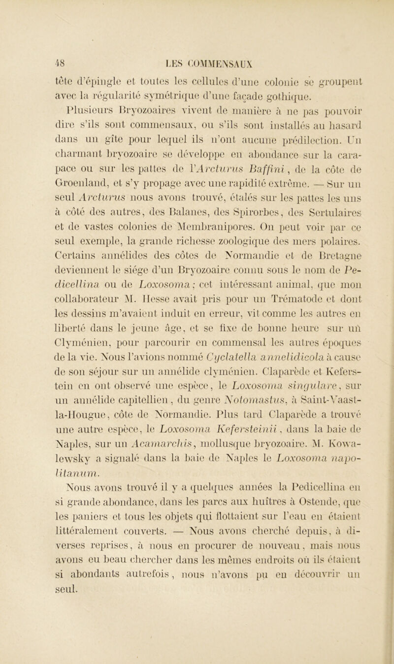 tetc d’épiiiglo et toutes les cellules d’uiie colonie se ^u‘Oui)eiit avec la régularité symétri(jue d’une façade gothique. Plusieurs Bryozoaires vivent de inanière à ne pas pouvoir dire s’ils sont cominensaux, ou s’ils sont installés au hasard dans un gîte pour lequel ils n’ont aucune prédilection. Un charinant hryozoaire se développe en ahondancc sur la cara- pace ou sur les pattes de VArcturus Baffini, do la côte de Groenland, et s’y propage avec une rapidité extréine. — 8ur un seul Arcturus nous avons trouvé, étalés sur les pattes les uns à côté des autres, des Balanes, des Spirorhos, des Sortulaires et do vastes colonies de Alendjranipores. On peut voir par ce seul exemple, la grande richesse zoologique des mers polaires. Certains annélides des côtes de yormandie et do Bretagne deviennent le siège d’un Bryozoaire connu sous le nom de Pe- diceUina ou de Loxosoma; cet intéressant animal, que mon collahorateur M. liesse avait pris pour un Trématode et dont les dessins m’avaient induit en erreur, vit comme les autres on liberté dans le jeune âge, et se üxe de bonne heure sur un Clyménien, pour parcourir en commensal les autres époques de la vie. Nous l’avions nommé CyclateUa annehdicoha à cause de son séjour sur un annélido clyménien. Claparède et Kefers- toin en ont observé une espèce, le Loxosoriia singulare ^ sur un annélido capitollien, du genre Notomastus, à Saiiit-Anast- la-lïougue, côte de Normandie. Plus tard Claparède a trouvé une autre espèce, le Loxosoma Kefersteinii, dans la baie de Naples, sur un Acmnarchis ^ mollusque bryozoaire. Al. Kowa- lewsky a signalé dans la baie de Naples le Loxosoma napo- litanum. Nous avons trouvé il y a quebjues années la Pedicellina en si grande abondance, dans les parcs aux huîtres à Ostende, (|ue les paniers et tous les objets qiü llottaient sur l’eau eu étaient littéralement couverts. — Nous avons cherché depuis, à di- verses reprises, à nous en procurer de nouveau, mais nous avons eu beau chercher dans les memes endroits où ils étaient si abondants autrefois, nous n’avons pu en découvrir un seul.