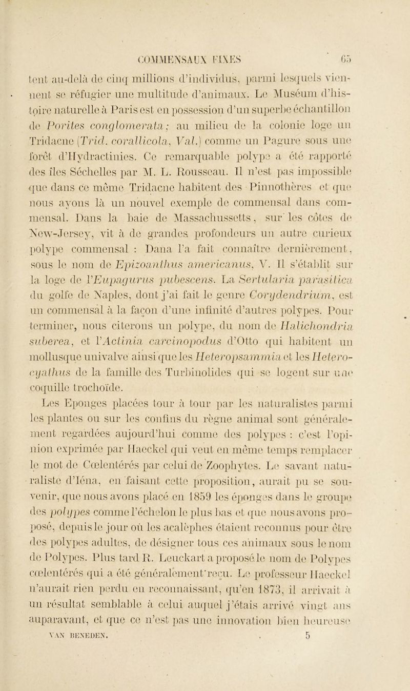 (('ut aii-cl(‘là (le ciii([ millions d’iiidividiis, pîirmi los(|ucds viini- noiit s(^ rôfiigior niu3 muUitudo d’iiiiimaux. \a' Arusdiim d’ids- loir(3 iiaLiirolle à Paris est on possession d’nn sii[)(o*ho échantillon do J^orltes concfJorneraUi; an milicMi do la coloni(‘ log(3 un Tridacno [Trid. coraJUcola, Vdi/.) comni(3 un ld)pui*(‘ sous uik* Ibrôt d’llydraciini('s. Co romarqual)l(3 ])olv])0 a oto i-a[)j)Orlo dos îles Sochollos ])ar Al. L. Koussoau. 11 n’osi ]>as ini[)0ssil)l(‘ pu(‘ dans CO momo Tridacno haljih'iit dos Idnnotlièros (3l (jin* nous ayons là un nouvol oxomplo d(3 commonsal dans com- mensal. Dans la haie do Alassachussotts, sur’1(3S cdt(‘s d<‘ Xow-.Torsoy, vit à do grandes profondeurs un autre curieux polype commonsal; Dana Ta fait connaitn' dornièroiiKMit, sous le nom do Eplzoanllius amoricnnus, Y. Il s’établit sur la logo do VEuparjurus pid>escens. La ^ertuJnria parnsUlcu du golf(‘ do Xa,[)los, dont j’ai fait le g(‘nro Corydendrtitra, est un commonsâl à la façon d’une inünito d’autres polypes. Pour torminor, nous citerons un polyptp du nom do Ihdichondrhi suberea, et VAcitnin carcinopodus d’Otto ({ui liahitont un mollusque uuivalvo ainsi (fuoles Ileteropsamrnin el les Ileiero- (yijadms d(3 la famill(3 di's TiuPiuolidi'S (jui se logent sur uu(‘ C0(juille troclioïd(‘. ]j(‘s Eponges placé(‘s tour à tour par les uaturalist(‘s ])armi les ])lantes ou sur h‘s coiillus du règne animal sont gonorab'- ment regardées aujourd’hui conuu(3 des polypes : c’(‘st l’o[)i- iiioii ex])rimée ])ar Ilaeckel (jui x'eut (m nioim' tiniips r(‘ini)lacor 1(3 mot (1(3 (Xelentérés par celui d(3 Zoophyt(3s. L(‘ savant natu- raliste (l’iéiia, en faisant c-otte [irojiosition, aurait pu se sou- venir, ([ue nous avons jdacé (3u 1859 les épf)nges dans le group(‘ des pohfpes comme l’éclndon 1(3 plus l)as ('t ([ik‘. nous avons pro- ])Osé, dejuiisle jour on les acal('ph(‘s étai(Od r(H*ouiius pour être d(‘s poly])Os adultes, de désigner tous ces aiiinnuix sous 1(3 nom de Polypes. Idus tard P. Leuckart a proposénom d(‘ Pohqu's C(el('ntérés ({ui a été géuéral(Mneut'r(3(3u. L(' [>rofesseur IIaeck(d n’aurait rien perdu eu reconnaissant, (|u’en 1875, il arrivait à un résultat sem])la]jle à c,(dui au(|U(3l j’étais arrivé vingt ans auparavant, et ([ue ce n’est ])as une innovation hi(m h(‘ureus(‘