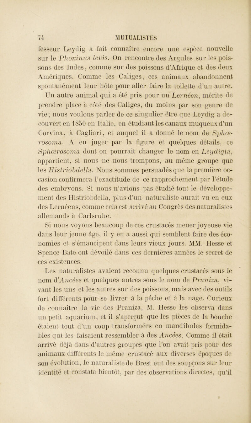 fesscur Leydig a fait connaître encore nne esx)èce nouvelle sur le Phoxinus levis. On rencontre des Argiües sur les jjois- sons des Indes, comme sur des jjoissons d’Afrique et des deux Amériques. Comme les Caliges, ces animaux abandonnent spontanément leur hôte pour aller faire la toilette d’un autre. Un autre animal qui a été pris pour un Lernéen^ mérite de prendre xdace à côté des Caliges, du moins par son genre de vie; nous voulons parler de ce singulier être que Leydig a de- couvert en 1850 en Italie, en étudiant les canaux muqueux d’un Corvina, à Cagiiari, et auquel il a donné le nom de Sphœ- rosoma. A en juger par la figure et quelques détails, ce Sphœrosomci dont on pourrait changer le nom en Leycligia^ axqiartient, si nous ne nous trompons, an meme groupe que les IlistriobdeUii. Nous sommes persuadés que la première oc- casion confirmera l’exactitude de ce rapprochement par l’étude des emljryons. Si nous n’avions pas étudié tout le développe- ment des llistriolxlella, jdiis d’un naturaliste aurait vu en eux des Leriiéens, comme cela est arrivé au Congrès des naturalistes allemands à Carlsrnlie. Si nous voyons beaucoup de ces crustacés mener joyeuse vie dans leur jeune âge, il y en a aussi qui semblent faire des éco- nomies et s’émancipent dans leurs vieux jours. AOL Hesse et Spence Bâte ont dévoilé dans ces dernières années le secret de ces existences. Les naturalistes avaient reconnu quelques crustacés sous le nom d’Ancées et quelques autres sous le nom de Praiiiza, vi- vant les uns et les antres sur des poissons, mais avec des outils fort difPérents pour se livrer à la pèche et à la nage. Curieux de connaître la vie des Praniza, AL liesse les observa dans im petit aquarium, et il s’aperçut que les pièces de la bouche étaient tout d’un coup transformées en mandibules formida- bles qui les faisaient ressembler à des Ancées. Comme il était arrivé déjà dans d’autres groupes que l’on avait pris pour des animaux différents le meme crustacé aux diverses époques de son évolution, le naturaliste de Brest eut des soupçons sur leur identité et constata bientôt, par des observations directes, qu’il