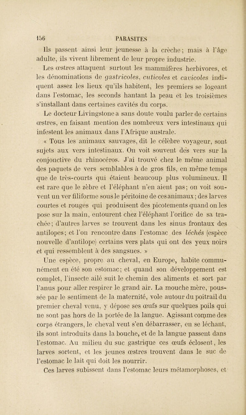 Ils passent ainsi leur jeunesse à la crèche ; mais à l’âge adulte, ils vivent librement de leur propre industrie. Les œstres attaquent surtout les mammifères herbivores, et les dénominations de gastricoles^ cuticoles et cavicoles indi- quent assez les lieux qu’ils habitent, les premiers se logeant dans l’estomac, les seconds hantant la peau et les troisièmes s’installant dans certaines cavités du corps. Le docteur Livingstone a sans doute voulu parler de certains œstres, en faisant mention des nombreux vers intestinaux qui infestent les animaux dans l’Afrique australe. « Tous les animaux sauvages, dit le célèbre voyageur, sont sujets aux vers intestinaux. On voit souvent des vers sur la conjonctive du rhinocéros. J’ai trouvé chez le même animal des paquets de vers semblables à de gros fils, en même temps que de très-courts qui étaient beaucoup plus volumineux. Il est rare que le zèbre et l’éléphant n’en aient pas; on voit sou- vent un ver filiforme sons le péritoine de ces animaux; des larves courtes et rouges qui produisent des picotements quand on les pose sur la main, entourent chez l’éléphant l’orifice de sa tra- chée ; d’autres larves se trouvent dans les sinus frontaux des antilopes ; et l’on rencontre dans l’estomac des léchés (espèce nouvelle d’antilope) certains vers plats qui ont des yeux noirs et qui ressemblent à des sangsues. » Une espèce, propre au cheval, en Europe, habite commu- nément en été son estomac; et quand son développement est complet, l’insecte ailé suit le chemin des aliments et sort par l’anus pour aller respirer le grand air. La mouche mère, pous- sée par le sentiment de la maternité, vole autour du poitrail du premier cheval venu, y dépose ses œufs sur quelques poils qui no sont pas hors de la portée de la langue. Agissant cornme des corps étrangers, le cheval veut s’en débarrasser, en se léchant, ils sont introduits dans la bouche, et de la langue passent dans l’estomac. Au milieu du suc gastrique ces œufs éclosent, les larves sortent, et les jeunes œstres trouvent dans le suc de l’estomac le lait qui doit les nourrir. Ces larves subissent dans l’estomac leurs métamorphoses, et