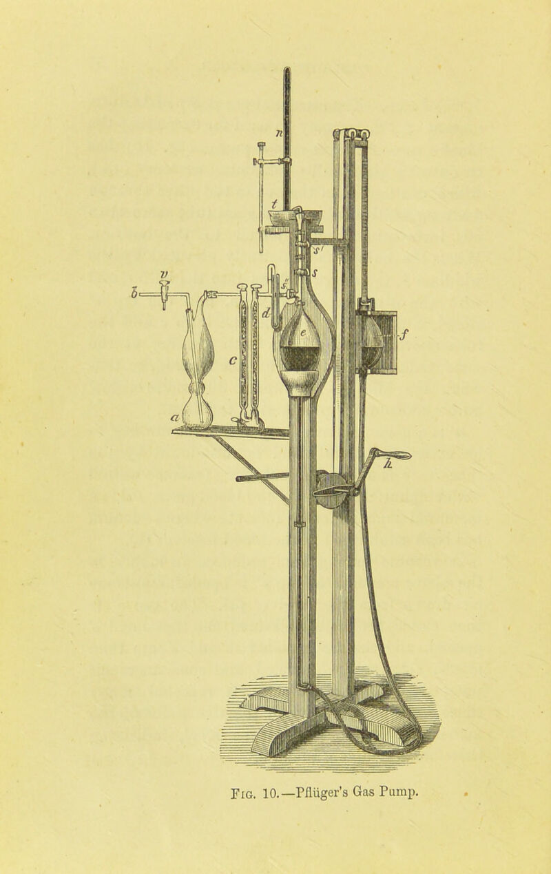 Fig. 10.—Pfliiger’s Gas Pump.