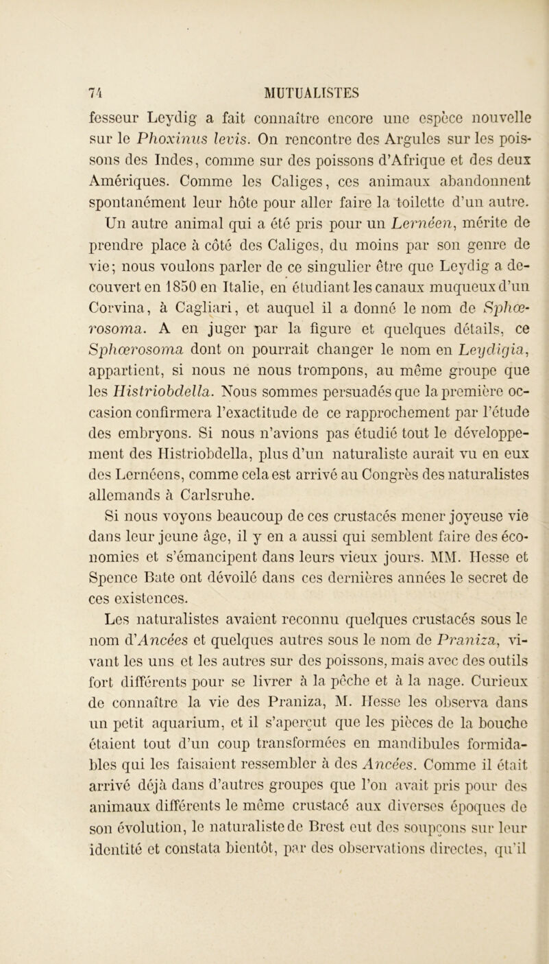 fesseur Leydig a fait connaître encore une espèce nouvelle sur le Phoxinus levis. On rencontre des Argules sur les pois- sons des Indes, comme sur des poissons d’Afrique et des deux Amériques. Comme les Caliges, ces animaux abandonnent spontanément leur hôte pour aller faire la toilette d’un autre. Un autre animal qui a été pris pour un Lernéen, mérite de prendre place à côté des Caliges, du moins par son genre de vie; nous voulons parler de ce singulier être que Leydig a de- couvert en 1850 en Italie, en étudiant les canaux muqueux d’un Corvina, à Cagliari, et auquel il a donné le nom de Sjjhœ- rosoma. A en juger par la figure et quelques détails, ce Sphœrosoma dont on pourrait changer le nom en Leydigia, appartient, si nous ne nous trompons, au même groupe que les Histriobdella. Nous sommes persuadés que la première oc- casion confirmera l’exactitude de ce rapprochement par l’étude des embryons. Si nous n’avions pas étudié tout le développe- ment des Histriobdella, plus d’un naturaliste aurait vu en eux des Lernéens, comme cela est arrivé au Congrès des naturalistes allemands à Carlsruhe. Si nous voyons beaucoup de ces crustacés mener joyeuse vie dans leur jeune âge, il y en a aussi qui semblent faire des éco- nomies et s’émancipent dans leurs vieux jours. MM. Hesse et Spence Bâte ont dévoilé dans ces dernières années le secret de ces existences. Les naturalistes avaient reconnu quelques crustacés sous le nom d'Ancées et quelques autres sous le nom de Praniza, vi- vant les uns et les autres sur des poissons, mais avec des outils fort différents pour se livrer à la pêche et à la nage. Curieux de connaître la vie des Praniza, M. Hesse les observa dans un petit aquarium, et il s’aperçut que les pièces de la bouche étaient tout d’un coup transformées en mandibules formida- bles qui les faisaient ressembler à des Ancées. Comme il était arrivé déjà dans d’autres groupes que l’on avait pris pour des animaux différents le même crustacé aux diverses époques de son évolution, le naturaliste de Brest eut dos soupçons sur leur identité et constata bientôt, par des observations directes, qu’il