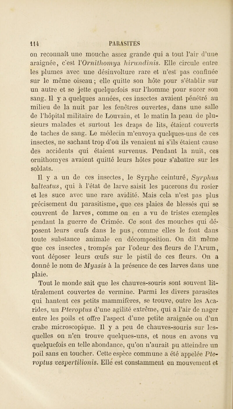 on reconnaît une mouche assez grande qui a tout l’air d’une araignée, c’est YOrnithomya hirunclinis. Elle circule entre les plumes avec une désinvolture rare et n’est pas confinée sur le meme oiseau ; elle quitte son hôte pour s’établir sur un autre et se jette quelquefois sur l’homme pour sucer son sang. Il y a quelques années, ces insectes avaient pénétré au milieu de la nuit par les fenêtres ouvertes, dans une salle de l’hôpital militaire de Louvain, et le matin la peau de plu- sieurs malades et surtout les draps de lits, étaient couverts de taches de sang. Le médecin m’envoya quelques-uns de ces insectes, ne sachant trop d’où ils venaient ni s’ils étaient cause des accidents qui étaient survenus. Pendant la nuit, ces ornithomyes avaient quitté leurs hôtes pour s’abattre sur les soldats. Il y a un de ces insectes, le Syrphe ceinturé, Syrphus balteatus, qui à l’état de larve saisit les pucerons du rosier et les suce avec une rare avidité. Mais cela n’est pas plus précisément du parasitisme, que ces plaies de blessés qui se couvrent de larves, comme on en a vu de tristes exemples pendant la guerre de Crimée. Ce sont des mouches qui dé- posent leurs œufs dans le pus, comme elles le font dans toute substance animale en décomposition. On dit même que ces insectes , trompés par l’odeur des fleurs de l’Arum, vont déposer leurs œufs sur le pistil de ces fleurs. On a donné le nom de Myasis à la présence de ces larves dans une plaie. Tout le monde sait que les chauves-souris sont souvent lit- téralement couvertes de vermine. Parmi les divers parasites qui hantent ces petits mammifères, se trouve, outre les Aca- rides, un Pteroptus d’une agilité extrême, qui a l’air de nager entre les poils et offre l’aspect d’une petite araignée ou d’un crabe microscopique. Il y a peu de chauves-souris sur les- quelles on n’en trouve quelques-uns, et nous en avons vu quelquefois en telle abondance, qu’on n’aurait pu atteindre un poil sans en toucher. Cette espèce commune a été appelée Pfe- roptus vespertilionis. Elle est constamment en mouvement et