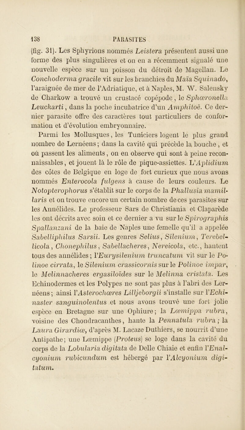 (fig. 31). Les Sphyrions nommés Leistera présentent aussi une forme des plus singulières et on en a récemment signalé une nouvelle espèce sur un poisson du détroit de Magellan. Le Conchoderma gracile vit sur les branchies du Maïa Squinado, l’araignée de mer de l’Adriatique, et à Naples, M. W. Salensky de Charkow a trouvé un crustacé copépode, le Sphœronella Leuckarti, dans la poche incubatrice d’un Amphitoë. Ce der- nier parasite offre des caractères tout particuliers de confor- mation et d’évolution embryonnaire. Parmi les Mollusques, les Tuniciers logent le plus grand nombre de Lernéens ; dans la cavité qui précède la bouche , et où passent les aliments, on en observe qui sont à peine recon- naissables, et jouent là le rôle de pique-assiettes. YÏAplidium des côtes de Belgique en loge de fort curieux que nous avons nommés Enterocola fulgens à cause de leurs couleurs. Le Notoptey'ophorus s’établit sur le corps de la Phallusia mamil- lavis et on trouve encore un certain nombre de ces parasites sur les Annélides. Le professeur Sars de Christiania et Claparède les ont décrits avec soin et ce dernier a vu sur le Spirographis Spallanzani de la baie de Naples une femelle qu’il a appelée Sabelliphilus Sarsii. Les genres Selius, Silenium, Terebel- licola, Chonephilus, Sabellacheres, Nereicola, etc., hantent tous des annélides ; YEurysileîiium truncatum vit sur le Po- linoe cirrata, le Silenium crassicornis sur le Polinoe impar, le Melinnacheres ergasiloïdes sur le Melinna cristata. Les Echinodermes et les Polypes ne sont pas plus à l’abri des Ler- néens ; ainsi YAsterochœres Lilljeborgii s’installe sur YEchi- naster sanguinolentus et nous avons trouvé une fort jolie espèce en Bretagne sur une Ophiure; la Lœmippa rubra, voisine des Chondracanthes, hante la Pennatula rubra ; la Laura Girardiœ, d’après M. Lacaze Duthiers, se nourrit d’une Antipathe; une Lœmippe (Proteus) se loge dans la cavité du corps de la Lobularia digitata de Delle Chiaie et enfin YEnal- cyonium rubicundum est hébergé par YAlcyonium digi- tatum.