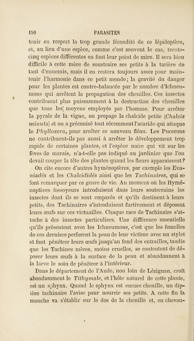 tenir en respect la trop grande fécondité de ce lépidoptère, et, au lieu d’une espèce, comme c’est souvent le cas, trente- cinq espèces différentes en font leur point de mire. Il sera bien difficile à cette mère de soustraire ses petits à la tarière de tant d’ennemis, mais il en restera toujours assez pour main- tenir l’harmonie dans ce petit monde; la gravité du danger pour les plantes est contre-balancée par le nombre d’Ichneu- mons qui arrêtent la propagation des chenilles. Ces insectes contribuent plus puissamment à la destruction des chenilles que tous les] moyens employés par l’homme. Pour arrêter la pyrale de la vigne, on propage la chalcide petite (Chalcis minuta) et on a préconisé tout récemment l’acaride qui attaque le Phijlloxeva, pour arrêter ce nouveau fléau. Les Pucerons ne contribuent-ils pas aussi à arrêter le développement trop rapide de certaines plantes, et l’espèce noire qui vit sur les fèves de marais, n’a-t-clle pas indiqué au jardinier que l’on devait couper la tête des plantes quand les fleurs apparaissent ? On cite encore d’autres hyménoptères, par exemple les Eua- niadés et les Chalcididés ainsi que les Tachinaires, qui se font remarquer par ce genre de vie. Au moment où les Hymé- noptères fossoyeurs introduisent dans leurs souterrains les insectes dont ils se sont emparés et qu’ils destinent à leurs petits, des Tachinaires s’introduisent furtivement et déposent leurs œufs sur ces victuailles. Chaque race de Tachinaire s’at- tache à des insectes particuliers. Une différence essentielle qu’ils présentent avec les Ichneumons, c’est que les femelles de ces derniers perforent la peau de leur victime avec un stylet et font pénétrer leurs œufs jusqu’au fond des entrailles, tandis que les Tachines mères, moins cruelles, se contentent de dé- poser leurs œufs à la surface de la peau et abandonnent à la larve le soin de pénétrer à l’intérieur. Dans le département de l’Aude, non loin de Lézignan, croît abondamment le Titliymale, et l’hôte naturel de cette plante, est un sphynx. Quand le sphynx est encore chenille, un dip- tère tachinaire l’avise pour nourrir ses petits. A cette fin la mouche va s’établir sur le dos de la chenille et, en chevau-