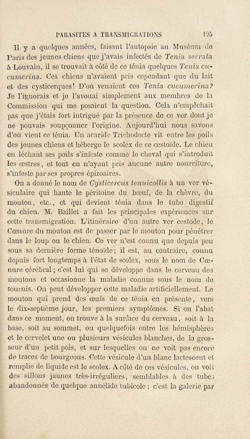 Il y a quelques années, faisant l’autopsie au Muséum de Paris des jeunes chiens que j’avais infectés de Ténia serrata à Louvain, il se trouvait à côté do ce ténia quelques Ténia eu- cumerina. Ces chiens n’avaient pris cependant que du lait et des cysticerques! D’où venaient ces Ténia cucumerina? Je l’ignorais et je l’avouai simplement aux membres de la Commission qui me posaient la question. Cela n’empêchait pas que j’étais fort intrigué par la présence de ce ver dont je ne pouvais soupçonner l’origine. Aujourd’hui nous savons d’où vient ce ténia. Un acaridc Trichodecte vit entre les poils des jeunes chiens et héberge le scolcx de ce cestoïde. Le chien en léchant ses poils s’infeste comme le cheval qui s’introduit les œstres, et tout en n’ayant pris aucune autre nourriture, s’infeste par ses propres épizoaires. On a donné le nom de Cysticercus tenuicollis à un ver vé- siculaire qui hante le péritoine du bœuf, de la chèvre, du mouton, etc., et qui devient ténia dans le tube digestif du chien. M. Baillet a fait les principales expériences sur cette transmigration. L’itinéraire d’un autre ver cestode, le Cœnure du mouton est de passer par le mouton pour pénétrer dans le loup ou le chien. Ce ver n’est connu que depuis peu sous sa dernière forme tônoïde; il est, au contraire, connu depuis fort longtemps à l’état de scolex, sous le nom de Cœ- nure cérébral ; c’est lui qui se développe dans le cerveau des moutons et occasionne la maladie connue sous le nom de tournis. On peut développer cette maladie artificiellement. Le mouton qui prend des œufs de ce ténia en présente, vers le dix-septième jour, les premiers symptômes. Si on l’abat dans ce moment, on trouve à la surface du cerveau, soit à la base, soit au sommet, ou quelquefois entre les hémisphères et le cervelet une ou plusieurs vésicules blanches, de la gros- seur d’un petit pois, et sur lesquelles on ne voit pas encore de traces de bourgeons. Cette vésicule d’un blanc lactescent et remplie de liquide est le scolex. A côté de ces vésicules, on voit des sillons jaunes très-irréguliers, semblables à des tubes abandonnés de quelque annélide tubicolc ; c’est la galerie par