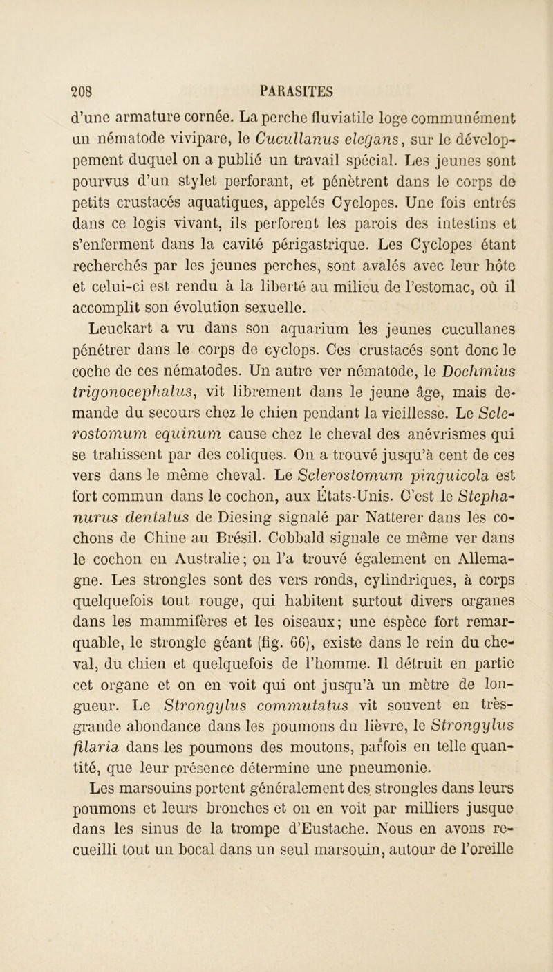 d’une armature cornée. La perche fluviatile loge communément un nématode vivipare, le Cucullanus elegans, sur le dévelop- pement duquel on a publié un travail spécial. Les jeunes sont pourvus d’un stylet perforant, et pénètrent dans le corps de petits crustacés aquatiques, appelés Cyclopes. Une fois entrés dans ce logis vivant, ils perforent les parois des intestins et s’enferment dans la cavité périgastrique. Les Cyclopes étant recherchés par les jeunes perches, sont avalés avec leur hôte et celui-ci est rendu à la liberté au milieu de l’estomac, où il accomplit son évolution sexuelle. Leuckart a vu dans son aquarium les jeunes cucullanes pénétrer dans le corps de cyclops. Ces crustacés sont donc le coche de ces nématodes. Un autre ver nématode, le Dochmius trigonocephalus, vit librement dans le jeune âge, mais de- mande du secours chez le chien pendant la vieillesse. Le Scie- rostomum equinum cause chez le cheval des anévrismes qui se trahissent par des coliques. On a trouvé jusqu’à cent de ces vers dans le meme cheval. Le Sclerostomum pinguicola est f fort commun dans le cochon, aux Etats-Unis. C’est le Stepha- nurus clentatus de Diesing signalé par Natterer dans les co- chons de Chine au Brésil. Cobbald signale ce meme ver dans le cochon en Australie ; on l’a trouvé également en Allema- gne. Les strongles sont des vers ronds, cylindriques, à corps quelquefois tout rouge, qui habitent surtout divers organes dans les mammifères et les oiseaux; une espèce fort remar- quable, le strongle géant (fig. 66), existe dans le rein du che- val, du chien et quelquefois de l’homme. Il détruit en partie cet organe et on en voit qui ont jusqu’à un mètre de lon- gueur. Le Strongylus commutatus vit souvent en très- grande abondance dans les poumons du lièvre, le St7'ongylus filaria dans les poumons des moutons, parfois en telle quan- tité, que leur présence détermine une pneumonie. Les marsouins portent généralement des strongles dans leurs poumons et leurs bronches et on en voit par milliers jusque dans les sinus de la trompe d’Eustache. Nous en avons re- cueilli tout un bocal dans un seul marsouin, autour de l’oreille