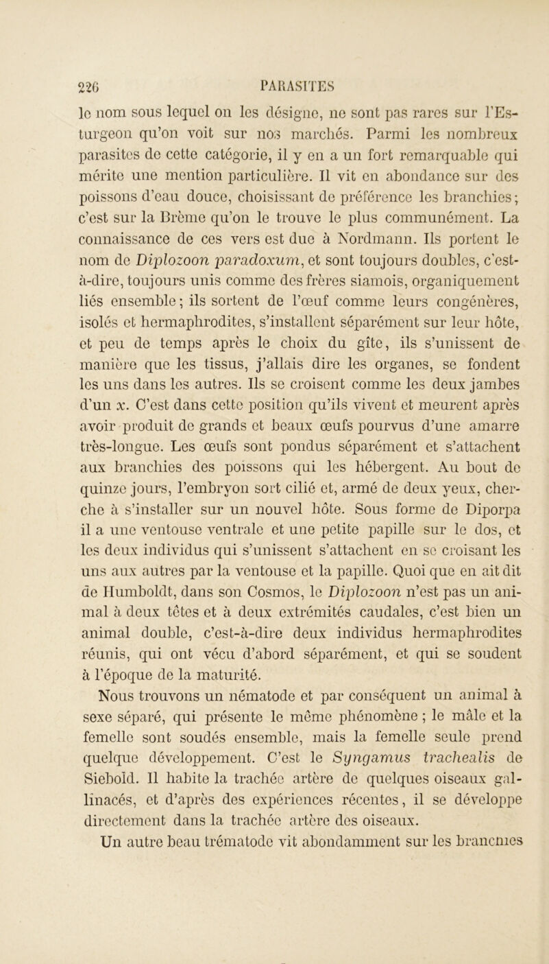 le nom sous lequel on les désigne, ne sont pas rares sur l’Es- turgeon qu’on voit sur nos marchés. Parmi les nombreux parasites de cette catégorie, il y en a un fort remarquable qui mérite une mention particulière. Il vit en abondance sur des poissons d’eau douce, choisissant de préférence les branchies; c’est sur la Brème qu’on le trouve le plus communément. La connaissance de ces vers est due à Nordmann. Ils portent le nom de Diplozoon psimdoxum, et sont toujours doubles, c’est- à-dire, toujours unis comme des frères siamois, organiquement liés ensemble ; ils sortent de l’œuf comme leurs congénères, isolés et hermaphrodites, s’installent séparément sur leur hôte, et peu de temps après le choix du gîte, ils s’unissent de manière que les tissus, j’allais dire les organes, se fondent les uns dans les autres. Ils se croisent comme les deux jambes d’un x. C’est dans cette position qu’ils vivent et meurent après avoir produit de grands et beaux œufs pourvus d’une amarre très-longue. Les œufs sont pondus séparément et s’attachent aux branchies des poissons qui les hébergent. Au bout de quinze jours, l’embryon sort cilié et, armé de deux yeux, cher- che à s’installer sur un nouvel hôte. Sous forme de Diporpa il a une ventouse ventrale et une petite papille sur le dos, et les deux individus qui s’unissent s’attachent en se croisant les uns aux autres par la ventouse et la papille. Quoi que en ait dit de Humboldt, dans son Cosmos, le Diplozoon n’est pas un ani- mal à deux têtes et à deux extrémités caudales, c’est bien un animal double, c’est-à-dire deux individus hermaphrodites réunis, qui ont vécu d’abord séparément, et qui se soudent à l’époque de la maturité. Nous trouvons un nématode et par conséquent un animal à sexe séparé, qui présente le même phénomène ; le mâle et la femelle sont soudés ensemble, mais la femelle seule prend quelque développement. C’est le Syngamus trachealis de Siebold. Il habite la trachée artère de quelques oiseaux gal- linacés, et d’après des expériences récentes, il se développe directement dans la trachée artère des oiseaux. Un autre beau trématode vit abondamment sur les branemes