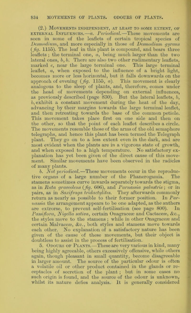 (2.) Movements independent, at least to some extent, of external Tnfluences.—«. Periodical.—These movements are seen in some of the leaflets of certain tropical species of Desmodium, and more especially in those of Desmodium gyrans (Jig. 1155). The leaf in this plant is compound, and bears three leaflets ; the terminal one, a, being much larger than the two lateral ones, b, b. There are also two other rudimentary leaflets, marked c, near the large terminal one. This large terminal leaflet, a, when exposed to the influence of a bright light, becomes more or less horizontal, but it falls downwards on the approach of evening (Jig. 1155, a). This movement is clearly analogous to the sleep of plants, and, therefore, comes under the head of movements depending on external influences, as previously described (page 830). But the lateral leaflets, b, b, exhibit a constant movement during the heat of the day, advancing by their margins towards the large terminal leaflet, and then retreating towards the base of the common petiole. This movement takes place first on one side and then on the other, so that the point of each leaflet describes a circle. The movements resemble those of the arms of the old semaphore telegraphs, and hence this plant has been termed the Telegraph plant. They go on to a less extent even in the dark, and are most evident when the plants are in a vigorous state of growth, and when exposed to a high temperature. No satisfactory ex- planation has yet been given of the direct cause of this move- ment. Similar movements have been observed in the radicles of many plants. b. Not periodical.—These movements occur in the reproduc- tive organs of a large number of the Phanerogamia. The stamens sometimes curve inwards separately towards the stigma, as in Rata graveolens (Jig. 600), and Parnassia palustris ; or in pairs, as in Saxifraga tridactylites. They afterwards commonly return as nearly as possible to their former position. In Par- nassia the arrangement appears to be one adapted, as the anthers are extrorse, to prevent self-fertilisation (see page 800). In Passi flora, Nigella sativa, certain Onagraceae and Cactacem, &c., the styles move to the stamens ; while in other Onagraceae and certain Malvaceae, &c., both styles and stamens move towards each other. No explanation of a satisfactory nature has been given of the cause of these movements, but their object is doubtless to assist in the process of fertilisation. 5. Odours of Plants.—These are very various in kind, many being highly agreeable, others excessively offensive, while others again, though pleasant in small quantity, become disagreeable in larger amount. The source of the particular odour is often a volatile oil or other product contained in the glands or re- ceptacles of secretion of the plant ; but in some cases no such origin is found, and the source of the odour is unknown, whilst its nature defies analysis. It is generally considered