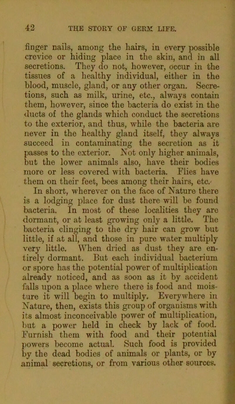 finger nails, among the hairs, in every possible crevice or hiding place in the skin, and in all secretions. They do not, however, occur in the tissues of a healthy individual, either in the blood, muscle, gland, or any other organ. Secre- tions, such as milk, urine, etc., always contain them, however, since the bacteria do exist in the ducts of the glands which conduct the secretions to the exterior, and thus, while the bacteria are never in the healthy gland itself, they always succeed in contaminating the secretion as it passes to the exterior. Not only higher animals, but the lower animals also, have their bodies more or less covered with bacteria. Flies have them on their feet, bees among their hairs, etc.' In short, wherever on the face of Nature there is a lodging place for dust there will be found bacteria. In most of these localities they arc dormant, or at least growing only a little. The bacteria clinging to the dry hair can grow but little, if at all, and those in pure water multiply very little. When dried as dust they are en- tirely dormant. But each individual bacterium or spore has the potential power of multiplication already noticed, and as soon as it by accident falls upon a place where there is food and mois- ture it will begin to multiply. Everywhere in Nature, then, exists this group of organisms with its almost inconceivable power of multiplication, but a power held in check by lack of food. Furnish them with food and their potential powers become actual. Such food is provided by the dead bodies of animals or plants, or by animal secretions, or from various other sources.