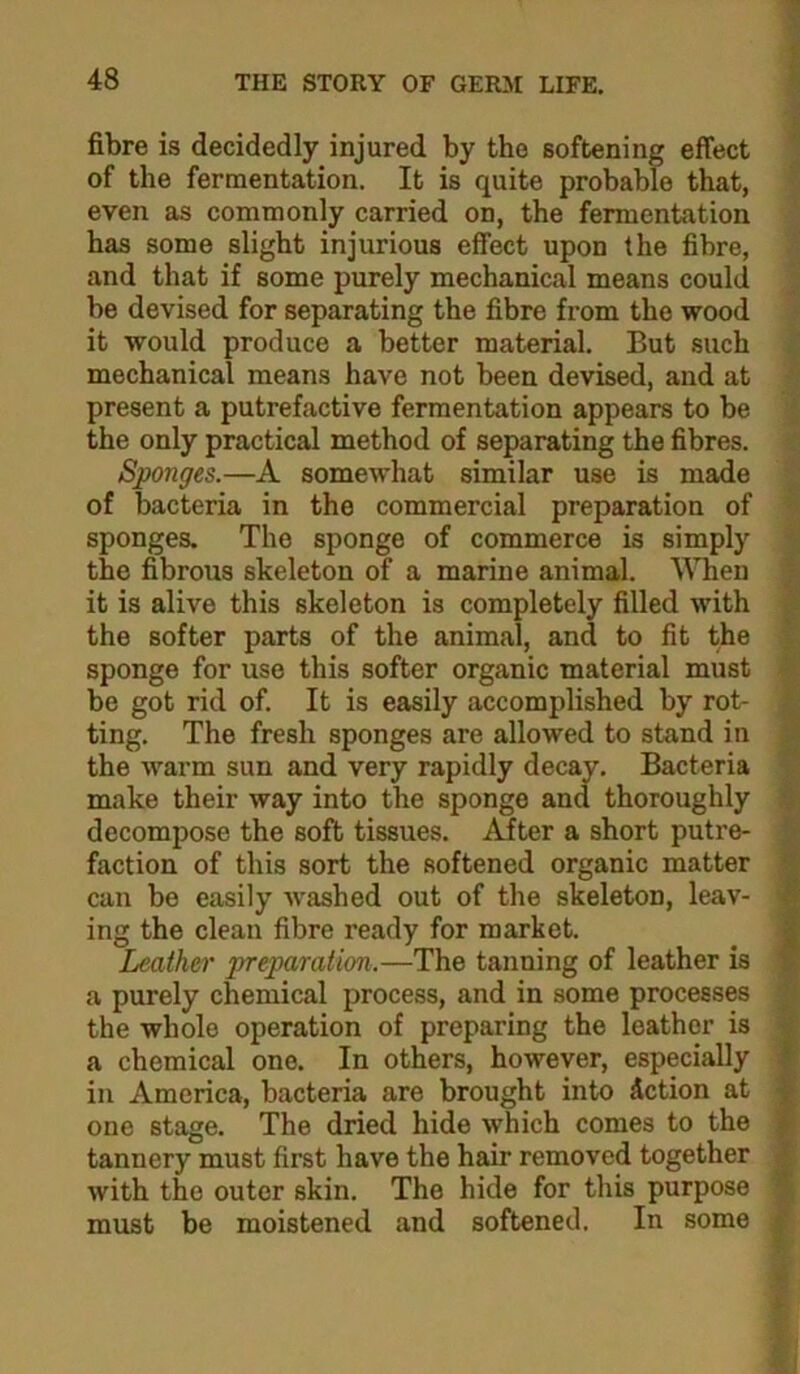 fibre is decidedly injured by the softening effect of the fermentation. It is quite probable that, even as commonly carried on, the fermentation has some slight injurious effect upon the fibre, and that if some purely mechanical means could be devised for separating the fibre from the wood it would produce a better material. But such mechanical means have not been devised, and at present a putrefactive fermentation appears to be the only practical method of separating the fibres. Sponges.—A somewhat similar use is made of bacteria in the commercial preparation of sponges. The sponge of commerce is simply the fibrous skeleton of a marine animal. When it is alive this skeleton is completely filled with the softer parts of the animal, and to fit the sponge for use this softer organic material must be got rid of. It is easily accomplished by rot- ting. The fresh sponges are allowed to stand in the warm sun and very rapidly decay. Bacteria make their way into the sponge and thoroughly decompose the soft tissues. After a short putre- faction of this sort the softened organic matter can be easily washed out of the skeleton, leav- ing the clean fibre ready for market. Leather preparation.—The tanning of leather is a purely chemical process, and in some processes the whole operation of preparing the leather is a chemical one. In others, however, especially in America, bacteria are brought into Action at one stage. The dried hide which comes to the tannery must first have the hair removed together with the outer skin. The hide for this purpose must be moistened and softened. In some