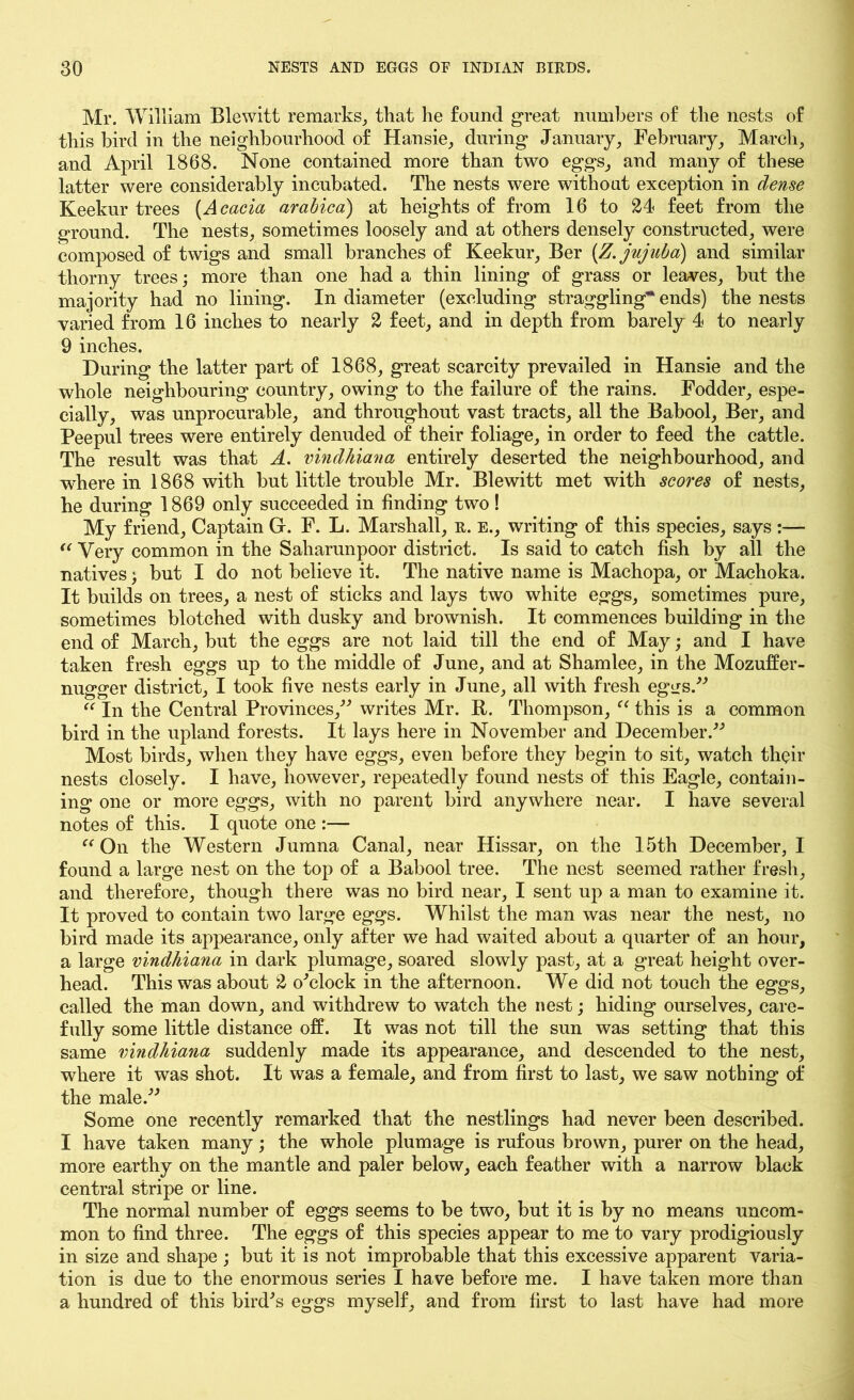 Mr. William Blewitt remarks, that he found great numbers of the nests of this bird in the neighbourhood of Hansie, during January, February, March, and April 1868. None contained more than two eggs, and many of these latter were considerably incubated. The nests were without exception in dense Keekur trees (Acacia arabico) at heights of from 16 to 24 feet from the ground. The nests, sometimes loosely and at others densely constructed, were composed of twigs and small branches of Keekur, Ber (Z.jujuba) and similar thorny trees; more than one had a thin lining of grass or leaves, but the majority had no lining. In diameter (excluding straggling* ends) the nests varied from 16 inches to nearly 2 feet, and in depth from barely 4 to nearly 9 inches. During the latter part of 1868, great scarcity prevailed in Hansie and the whole neighbouring country, owing to the failure of the rains. Fodder, espe- cially, was unprocurable, and throughout vast tracts, all the Babool, Ber, and Peepul trees were entirely denuded of their foliage, in order to feed the cattle. The result was that A. vindhiana entirely deserted the neighbourhood, and wherein 1868 with but little trouble Mr. Blewitt met with scores of nests, he during 1869 only succeeded in finding two! My friend, Captain G. F. L. Marshall, r. e., writing of this species, says :— « Very common in the Saharunpoor district. Is said to catch fish by all the natives; but I do not believe it. The native name is Machopa, or Machoka. It builds on trees, a nest of sticks and lays two white eggs, sometimes pure, sometimes blotched with dusky and brownish. It commences building in the end of March, but the eggs are not laid till the end of May; and I have taken fresh eggs up to the middle of June, and at Shamlee, in the Mozuffer- nugger district, I took five nests early in June, all with fresh eg*_rs.” “ In the Central Provinces,” writes Mr. B. Thompson, “ this is a common bird in the upland forests. It lays here in November and December.” Most birds, when they have eggs, even before they begin to sit, watch their nests closely. I have, however, repeatedly found nests of this Eagle, contain- ing one or more eggs, with no parent bird anywhere near. I have several notes of this. I quote one :— “ On the Western Jumna Canal, near Hissar, on the 15th December, I found a large nest on the top of a Babool tree. The nest seemed rather fresh, and therefore, though there was no bird near, I sent up a man to examine it. It proved to contain two large eggs. Whilst the man was near the nest, no bird made its appearance, only after we had waited about a quarter of an hour, a large vindhiana in dark plumage, soared slowly past, at a great height over- head. This was about 2 o'clock in the afternoon. We did not touch the eggs, called the man down, and withdrew to watch the nest; hiding ourselves, care- fully some little distance off. It was not till the sun was setting that this same vindhiana suddenly made its appearance, and descended to the nest, where it was shot. It was a female, and from first to last, we saw nothing of the male.” Some one recently remarked that the nestlings had never been described. I have taken many; the whole plumage is rufous brown, purer on the head, more earthy on the mantle and paler below, each feather with a narrow black central stripe or line. The normal number of eggs seems to be two, but it is by no means uncom- mon to find three. The eggs of this species appear to me to vary prodigiously in size and shape ; but it is not improbable that this excessive apparent varia- tion is due to the enormous series I have before me. I have taken more than a hundred of this bird's eggs myself, and from first to last have had more