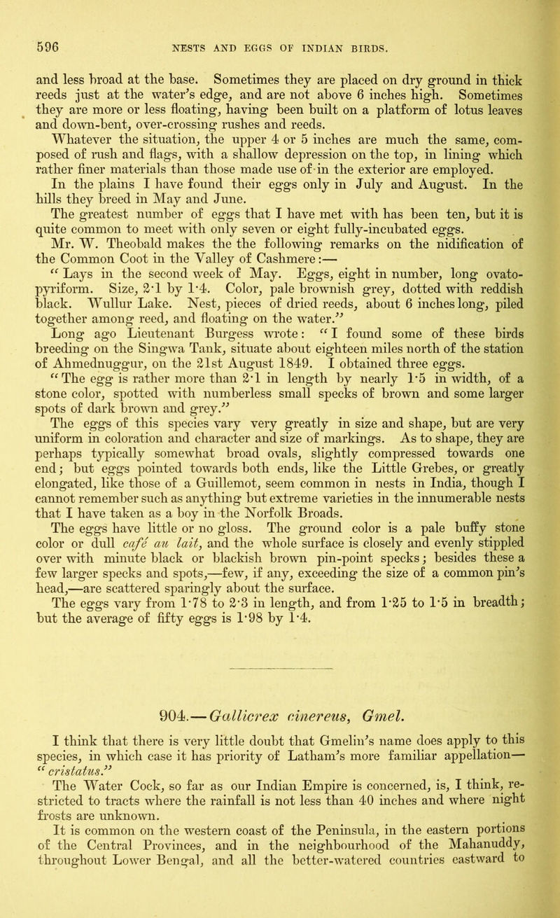 and less broad at the base. Sometimes they are placed on dry ground in thick reeds just at the water's edge, and are not above 6 inches high. Sometimes they are more or less floating, having been built on a platform of lotus leaves and down-bent, over-crossing rushes and reeds. Whatever the situation, the upper 4 or 5 inches are much the same, com- posed of rush and flags, with a shallow depression on the top, in lining which rather finer materials than those made use of in the exterior are employed. In the plains I have found their eggs only in July and August. In the hills they breed in May and June. The greatest number of eggs that I have met with has been ten, but it is quite common to meet with only seven or eight fully-incubated eggs. Mr. W. Theobald makes the the following remarks on the notification of the Common Coot in the Valley of Cashmere:— “ Lays in the second week of May. Eggs, eight in number, long ovato- pyriform. Size, 2*1 by 1*4. Color, pale brownish grey, dotted with reddish black. Wullur Lake. Nest, pieces of dried reeds, about 6 inches long, piled together among reed, and floating on the water. Long ago Lieutenant Burgess wrote: “ I found some of these birds breeding on the Singwa Tank, situate about eighteen miles north of the station of Ahmednuggur, on the 21st August 1849. I obtained three eggs. “The egg is rather more than 2V in length by nearly 1*5 in width, of a stone color, spotted with numberless small specks of brown and some larger spots of dark brown and grey. The eggs of this species vary very greatly in size and shape, but are very uniform in coloration and character and size of markings. As to shape, they are perhaps typically somewhat broad ovals, slightly compressed towards one end; but eggs pointed towards both ends, like the Little Grebes, or greatly elongated, like those of a Guillemot, seem common in nests in India, though I cannot remember such as anything but extreme varieties in the innumerable nests that I have taken as a boy in the Norfolk Broads. The eggs have little or no gloss. The ground color is a pale huffy stone color or dull cafe au lait, and the whole surface is closely and evenly stippled over with minute black or blackish brown pin-point specks; besides these a few larger specks and spots,—few, if any, exceeding the size of a common pin's head,—are scattered sparingly about the surface. The eggs vary from 1*78 to 2’3 in length, and from L25 to 1*5 in breadth; but the average of fifty eggs is 1*98 by 1*4. 904.—Gallicrex cinereus, Gmel. I think that there is very little doubt that Gmelin's name does apply to this species, in which case it has priority of Latham's more familiar appellation—• “ cristatus. The Water Cock, so far as our Indian Empire is concerned, is, I think, re- stricted to tracts where the rainfall is not less than 40 inches and where night frosts are unknown. It is common on the western coast of the Peninsula, in the eastern portions of the Central Provinces, and in the neighbourhood of the Mahanuddy, throughout Lower Bengal, and all the better-watered countries eastward to