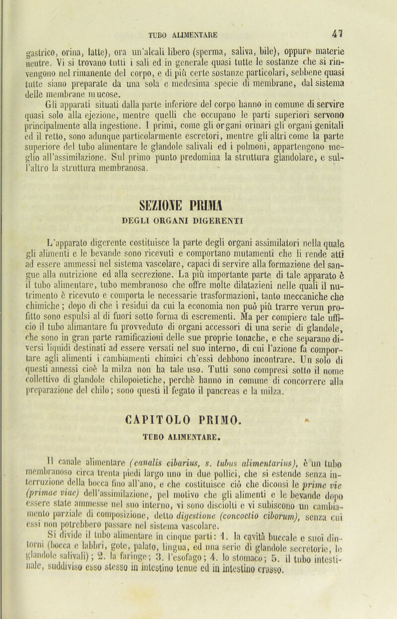 TUBO ALIMENTÄRE 41 gastrico, orina, lalte), ora un’alcali libero (sperraa, saliva, bile), oppuro- materie neutre. Vi si trovano tutli i sali ed in generale quasi tutte le sostanze che si rin- vengono nel rimanente del corpo, e di pifi certe sostanze particolari, sebbene quasi tutte siano preparate da una sola e medesima specie di membrane, dal sistema delle membrane mucose. Gli apparati situati dalla parte inferiore del corpo hanno in comune di servire quasi solo alla ejezione, mentre quelli che occupano le parti superiori servono principalmente alla ingestione. I primi, come gli organi orinari gli organi genitali ed il retto, sono adunque particolarmente escrctori, mentre gli altri come la parte superiore del tubo alimentäre le glandole salivali ed i polmoni, appartengono me- glio all’assimilazione. Sul primo punto predomina la struttura glandolare, e sul- i’altro la struttura membranosa. SEZIOÜE PRIMA DEGLI ORGANI DIGERENTI L’apparato digerente costituisce la parte degli organi assimilatori nella quäle gli alimenti c le bevande sono ricevuti e comportano mutamenti che li rende atti ad essere ammessi nel sistema vaseolare, capaci di servire alla formazione del san- gue alla nutrizione ed alla secrezione. La piü importante parte di tale apparato e il tubo alimentäre, tubo membranoso che offre molte dilatazieni nelle quali il nu- trimento ö ricevuto e comporta le necessarie trasformazioni, tanto meccaniche che chimichc; dopo di che i residui da cui la economia non puö piü trarre verun pro- fitto sono espulsi al di fuori sotto forma di escrementi. Ma per compiere tale ufli- cio il tubo alimantare fu provveduto di organi accessori di una Serie di glandole, che sono in gran parte ramificazioni delle sue proprie tonache, e che separano di- versi liquidi destinati ad essere versati nel suo interno, di cui l’azione fa compor- tare agli alimenti i cambiamenti chiinici ch’essi debbono incontrare. Un solo di questi annessi ciofe la milza non ha tale uso. Tutti sono compresi sotto il nome collettivo di glandole chilopoietiche, perchh hanno in comune di concorrere alla preparazione del chilo; sono questi il fegato il pancreas c la milza. CAPITOLO PRIMO. TUBO ALIMENTÄRE. 11 canale alimentäre (canalis cibarius, s. lubus alimentarius), k un tubo membranoso circa trenta piedi largo uno in due pollici, che si estende senza in- terruzione dclla bocca lino all’ano, e che costituisce cio che diconsi le prime vie (primae viae) dell’assimilazione, pel motivo che gli alimenti e le bevande dopo essere state ammesse nel suo interno, vi sono disciolti e vi subiscono un cambia- mcnlo parziale di composizione, ileLlo digestione (concoclio ciborum), senza cui cssi non potrebbero passare nel sistema vaseolare. Si dividc il tubo alimentäre in cinque parti: 1. la cavita buccale e suoi din- torni (bocca e labbri, goto, palalo, lingua, ed una Serie di glandole secrelorie le glandole salivali); 2. la faringo; 3. I’esofago; 4. Io stnmaco; 5. il tubo intesti- nale, suddiviso csso stesso in intestino tenue cd in inlestino crasso.