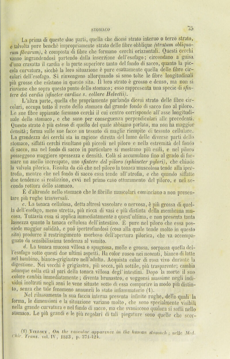 La prima di queste due parti, quclla che dicesi strato interno o terzo strato, e lalvolta pure beuche impropriamente strato delle Obre obblique (stratum obliqua- ntm ßbrarum), k composta di libre che formano cerclii orizzontali. Questi cerchi vanno ingrandendosi partendo dalla inser^one dell’esofago; circondano a guisa d’una cravatta il cardia e la parte superiore tanto del fondo di sacco, quanto la pic- cola curvalura, sieche la loro situazione e pure esattamente quella delle Obre cir- colari dell’esofago. Si rinvengono allorquando si sono tolte le fibre longitudinal! piü grosse che esistono in questo sito. 11 loro strato e grosso e denso, ma non si rinviene che sopra questo punto dello stomaco; esso rappresenta una spocie di sßn- tere del cardici (sßneter cardiae s. collare Ilelvetii). L’altra parte, quella che propriamente parlando dicesi strato delle fibre cir- colari, occupa tutto il resto dello stomaco dal grande fondo di sacco fino al piloro. Le sue fibre appianate formano cerchi il cui ccnlro corrisponde all’asse longitudi- nale dello stomaco, c che sono per conseguenza perpendicolari alle precedenti. Questo strato e piii esteso di quello del quäle abbiamo parlato, ma non ha maggior densitä; forma sulle sue facce un tessuto di maglie riempite di tessuto cellulare. La grandezza dei cerchi sta in ragione direlta del lumc delle diverse parti dello stomaco, silfalti cerchi risultano piü piccoli nel piloro e nella estreraitä del fondo di sacco, ma nel fondo di sacco in particolare si mostrano piü esili, e nel piloro posseggono maggiore spessezza e densitä. Cola si accumulano fino al grado di for- inare un anello increspalo, uno sßntere del piloro (sphincter pylori), che chiude la valvola pilorica. Risulla da ciö che nel piloro la tonaca muscolosa lende alla iper- trofia, mentre che nel fondo di sacco essa tende all’ atrofia, e che quando siffatlc due tendenze si realizzino, evvi nel primo caso olluramcnlo del piloro, e nel se- condo rottura dello stomaco. E d’altronde nello stomaco che le fibrille muscolari cominciano a non presen- tarc piü rughe trasversali. c. La tonaca cellulosa, detta allresi vascolare o nervosa, 6 piü grossa di quel- la dell’esofago, meno stretla, piü ricca di vasi e piü distinta della memhrana mu- cosa. Tullavia essa si applica immediatamente a quest’ultima, e non presenta tanta lassezza quanto la tonaca cellulosa dell’inteslino. K pure nel piloro che essa pos- siede maggior soliditä, e puö ipertroliandosi (cosa alla quäle lende molto in questo sito) produrrc il restringimento morboso dell’apertura pilorica, che va accompa- gnato da sensibilissima tendenza al vomito. d. La tonaca mucosa villosa o spugnosa, molle e grossa, sorpassa quella del- l'esofago sotto questi due Ultimi aspetti. Ha color roseo nei neonati, bianco di lalle nel bambino, bianco-grigiastro nell’adulto. Acquista color di rosa vivo duranlc la digestione. Nei vecclii 6 grigiastra, piü secca, piü sottile, piü trasparente; cambia adurique colla otä al pari della tonaca villosa dcgl’ intestini. Dopo la morte il suo colore cambia immediatamente; diventa brunastro, e veggonsi massimc negli indi- vidui inoltrati negli anni le vene situate sotto di essa comparire in modo piü distin- lo, senza che tale fenomeno annunzii lo slato infiainmatorio (1). JVcl rilassamento la sua faccia interna presenta infinite rughe, delle quali la forma, le dimensioni c la situazione variano molto, che sono specialmente visibili nella grande curvatura e nel fondo di sacco, ma che svaniscono qualora si sofili nello stomaco. Le piü grandi e le piü regolari di tali piegature sono quelle che scor- ft) Yki.j.oi.v, On ihr vammlar apparenoe in Ihe Immun slomach ■ iu'1J<’ Mul Cl'lr. Trans. vol.IY, 18J3, p. ‘All-M'i.