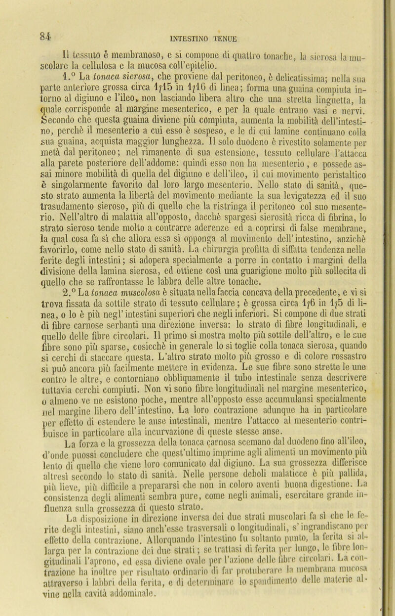 II tcssuio e membranoso, c si compone di quallro tonaclie, la sierosa la mu- scolare la cellulosa e la mucosa coll’epitelio. 1. ° La tonaca sierosa, che proviene dal peritoneo, 6 dclicatissima; nclla sua partc anteriore grossa circa 1/15 in 1/10 di linea; forma unaguaina compiuta in- torno al digiuno e l’ilco, non lasciando libera altro che una stretla linguetta, la quäle corrisponde al margine mesenterico, e per la quäle entrano vasi e nervi. Secondo che questa guaina diviene piü compiuta, aumenta la mobilitä dell’intesli- no, pcrchfc il mesenterio a cui esso e sospeso, e le di cui lamine eontinuano colla sua guaina, acquista maggior lunghezza. II solo duodeno k rivcstito solamente per metä dal peritoneo; nel rimanente di sua estcnsione, tessuto cellulare l’attacca alla parete posteriore dell’addome: quindi esso non ha mesenterio , e possede as- sai minore mobilitä di quella del digiuno e dell’ileo, il cui movimento peristaltico ü singolarmente favorito dal loro largo mesenterio. Nello stato disanitä, que- sto strato aumenta la liberlä del movimento mediante la sua levigatezza ed il suo trasudamento sieroso, piü di quello che la ristringa il peritoneo col suo mesente- rio. Nell’altro di malattia all’opposto, dacche spargesi sierositä ricca di fibrina, lo strato sieroso tende molto a contrarre aderenze ed a coprirsi di false membranc, la quäl cosa fa si che allora essa si opponga al movimento dell’intestino, anziche favorirlo, come nello stato di sanitä. La chirurgia pr.ofitta di siffatta tendenza nelle ferite degli intestini; si adopera specialmente a porrc in contatto i margini della divisione della lamina sierosa, ed ottiene cosi una guarigione molto piii sollecita di quello che se raffrontasse le labbra delle altre tonache. 2. ° La tonaca muscolosa ä situatanellafaccia concava della precedente, e vi si trova fissata da sottile strato di tessuto cellulare; ä grossa circa 1/6 in 1/5 di li- nea, o lo k piü negl’ intestini superiori che negli inferiori. Si compone di due strati di fibre carnose serbanti una direzione inversa: lo strato di fibre longitudinali, e quello delle fibre circolari. Il primo si mostra molto piü sottile dell’altro, e le sue fibre sono piü sparse, cosicchä in generale lo si toglie colla tonaca sierosa, quando si cerchi di staccare questa. L’altro strato molto piü grosso e di colore rossastro si puö ancora piü facilraente ineitere in evidenza. Le sue fibre sono strette le une contro le altre, e contorniano obbliquamente il tubo intestinale senza descrivere tuttavia cerchi compiuti. Non visono fibre longitudinali nel margine mesenterico, u almeno vc ne esistono poche, mentre all’opposto esse accumulansi spccialmente nel margine libero dell’intestino. La loro contrazione adunque ha in particolare per effetto di estendere le anse intestinali, mentre l’attacco al mesenterio contri- liuisce in particolare alla incurvazione di queste stesse anse. La forza c la grossezza della tonaca carnosa scemano dal duodeno lino all’ileo, d’onde puossi concludere che quest’ultimo imprime agli alimenti un movimento piü lento di quello che vienc loro comunicato dal digiuno. La sua grossezza differisee altresl secondo lo stato di sanitä. Nelle persone deboli malaticce ä piü pallida, piü lieve, piü difficile a prepararsi che non in coloro avcnli buona digestione. La consistenza degli alimenti sembra pure, come negli animali, cscrcilarc grande in- flucnza sulla grossezza di questo strato. La disposizionc in direzione inversa dei due strati muscolari fa sl che le le- rite degli intestini, siano anch’esse trasvcrsali o longitudinali, s’ingrandiscano per effetto della contrazione. Allorquando l’inteslino fu soltanlo punlo, la ferita si al- larga per la contrazione dei due strati; sc trattasi di ferita per lungo, le fibre lon- gitudinali l’aprono, ed cssa diviene ovale, per l’azionc delle fibre circolari. La con- trazione ha inollre per risultato ordinario di far protuberare la liiembrana mucosa attraverso i labbri della ferita, o di determinare lo spandimento dolle materie al- vine nella cavitä addominale.