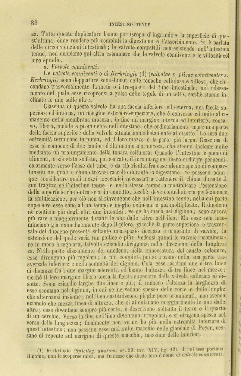 sa. Tutte quesfe duplicature hanno per iscopo d’ ingrandire la superßcie di que- st’ultima, onde rendere piii compiuti la digestione e l’assorbimento. Si k parlato delle circonvoluzioni intestinali; le valvole contrattili non esistendo nell’intestino tenue, non dobbiamo qui altro esaminare che le valvole connivcnti e le villositä col loro epitelio. a. Valvole connivenli. Le valvole connivenli o di ICevkringio (1) (valvulae s. plicae conniventes s. Kerkringii) sono doppiature semi-lunari delle tonache cellulosa e villosa, che cir- condano trasversalmente la metä o i tre-quarti del tubo intestinale, ne’l rilassa- mento del quäle esse ricopronsi a guisa delle legole di un telto, siechfe stanno in- clinate le une sulle altre. Ciascuna di queste valvole ha una faccia inferiore ed esterna, una faccia su- periore ed interna, un margine esteriore-superiore, che ö convesso ed unito al ri- manente della membrana mucosa; in fine un margine interne ed inferiore, conca- vo, libero, mobile e prominente nell’intestino, che ordinariamente copre una parle della faccia superiore della valvola situata immediatamente al disotto. Le loro due estremitä terminano in punta, ed il loro mezzo 6 la parte piii larga. Ciascuna di esse si compone di due Kamine della membrana mucosa, che stanno insiemc unite mediante un prolungamenlo della tonaca cellulosa. Quando l’intestino & pieno di alimenti, o sia stato soffiato, poi seccato, il loro margine libero si dirige perpendi- colarmente verso Tasse del tubo, e da ciö risulla fra esse alcune specie di compar- timenti nei quali il chimo trovasi raccolto durante la digestione. Si possono adun- que considerare quali mezzi meccanici necessari a rattenere il chimo durante il suo tragitto nell’intestino tenue, e nello stesso tempo a moltiplicare l’estensione della superficie che entra seco in contatto, locchö deve contribuirc a perfezionare la chilificazione, per ciö non si rinvengono che nelTintestino tenue, nella cui parte superiore esse sono ad un tempo e meglio delineate e piii moltiplicate. Il duodeno ne contiene piii degli altri due intestini; ve ne ha meno nel digiuno ; sono ancora piii rare e maggiormente distanti le une dalle altro nell’ileo. Ma esse non inco- minciano giä immediatamente dopo il piloro, giacche la parte superiore e trasver- sale del duodeno presenta soltanto uno spazio fioccoso e mancante di valvole, la estensione del quäle varia (un pollice e piii). Vedonsi quindi le valvole incomincia- re in modo irregolare, talvolta eziandio diriggonsi nella direzione della lunghez- za. Nella parte discendente del duodeno, nella imboccatura del canale coledoco, esse divengono piü regolari; le piii compiute poi si trovano nella sua parte tra- sversale inferiore e nella sommitä del digiuno. Cola esse lasciano due o tre linee di distanza fra i due raargini aderenti, ed hanno l’altezza di Ire linee nel mezzo; sicehö il loro margine libero locca la faccia superiore della valvola collocala al di- sotto. Sono eziandio larghe due linee e piii; il numero l’altezza la larghezza di esse scemano nel digiuno, in cui se rie vedotio spesso delle corte e delle lunghe che alternansi insieme; nell’ileo coslituiscono pieghe poco prominenti, non avendo eziandio che mezza linea di allezza, che si allontanano maggiormente le une dalle altre; esse diventano sempre piii corte, e descrivono soltanto il terzo o il quarto di un cerchio. Verso la fine dell’ileo diventano irrcgolari, e si dirigono spesso nel verso della lunghezza; finalmente non ve ne ha piü nella cstremitii inferiore di quest’intestino; non passano esso mai sulle macchie delle glandolc di Peyer, ces- sano di repente sul margine di queste macchie, massime delle inferiori. (1) Kcrkriuptio (Spiciletj. anatom. ns. 39, lav. XIV, tig. 12),. di cui esse portann il nomc, uon le scopcrsc mica, ma l u desso che dieclc loro il iionic di valvole connivenli.