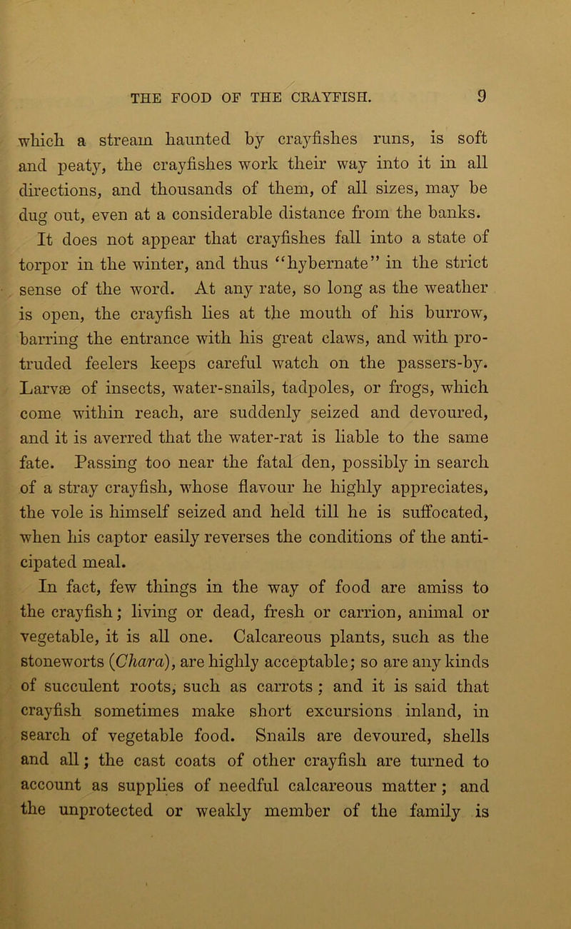 / wliich a stream haunted by crayfishes runs, is soft and peaty, the crayfishes work their way into it in all directions, and thousands of them, of all sizes, may be dug out, even at a considerable distance from the banks. It does not appear that crayfishes fall into a state of torpor in the winter, and thus “hybernate” in the strict sense of the word. At any rate, so long as the weather is open, the crayfish lies at the mouth of his burrow, barring the entrance with his great claws, and with pro- truded feelers keeps careful watch on the passers-by. Larvae of insects, water-snails, tadpoles, or frogs, which come within reach, are suddenly seized and devoured, and it is averred that the water-rat is liable to the same fate. Passing too near the fatal den, possibly in search of a stray crayfish, whose flavour he highly appreciates, the vole is himself seized and held till he is suffocated, when his captor easily reverses the conditions of the anti- cipated meal. In fact, few things in the way of food are amiss to the crayfish; living or dead, fresh or carrion, animal or vegetable, it is all one. Calcareous plants, such as the stoneworts {Chai'a), are highly acceptable; so are any kinds of succulent roots, such as carrots ; and it is said that crayfish sometimes make short excursions inland, in search of vegetable food. Snails are devoured, shells and all; the cast coats of other crayfish are turned to account as supplies of needful calcareous matter; and the unprotected or weakly member of the family is