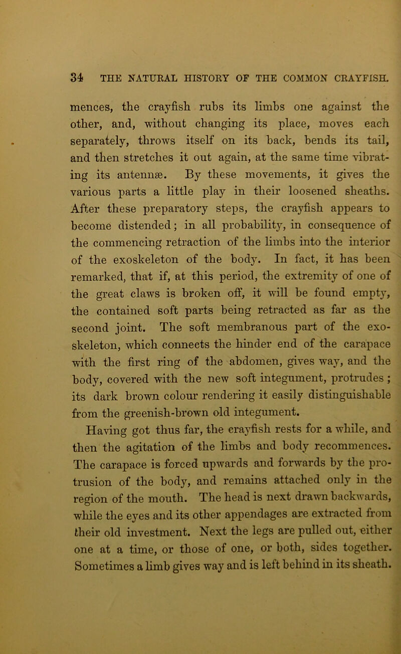 mences, the crayfish rubs its limbs one against the other, and, without changing its place, moves each separately, throws itself on its hack, bends its tail, and then stretches it out again, at the same time vibrat- ing its antennae. By these movements, it gives the various parts a little play in their loosened sheaths. After these preparatory steps, the crayfish appears to become distended; in all probability, in consequence of the commencing retraction of the limbs into the interior of the exoskeleton of the body. In fact, it has been remarked, that if, at this period, the extremity of one of the great claws is broken off, it will be found empty, the contained soft parts being retracted as far as the second joint. The soft membranous part of the exo- skeleton, which connects the hinder end of the carapace with the first ring of the abdomen, gives way, and the body, covered with the new soft integument, protrudes ; its dark brown colour rendering it easily distinguishable from the greenish-brown old integument. Having got thus far, the crayfish rests for a while, and then the agitation of the limbs and body recommences. The carapace is forced upwards and forwards by the pro- trusion of the body, and remains attached only in the region of the mouth. The head is next dravm backwards, while the eyes and its other appendages are extracted from their old investment. Next the legs are pulled out, either one at a time, or those of one, or both, sides together. Sometimes a limb gives way and is left behind in its sheath.