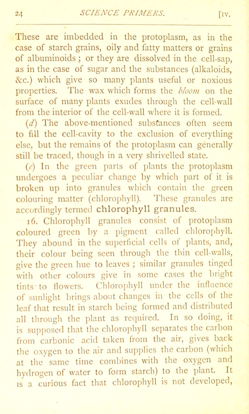 These are imbedded in the protoplasm, as in the case of starch grains, oily and fatty matters or grains of albuminoids; or they are dissolved in the cell-sap, as in the case of sugar and the substances (alkaloids, &c.) which give so many plants useful or noxious properties. The wax which forms the bloom on the surface of many plants exudes through the cell-wall from the interior of the cell-wall where it is formed. (<l) The above-mentioned substances often seem to fill the cell-cavity to the exclusion of everything else, but the remains of the protoplasm can generally still be traced, though in a very shrivelled state. (c) In the green parts of plants the protoplasm undergoes a peculiar change by which part of it is broken up into granules which contain the green colouring matter (chlorophyll). These granules are accordingly termed chlorophyll granules. 16. Chlorophyll granules consist of protoplasm coloured green by a pigment called chlorophyll. They abound in the superficial cells of plants, and, their colour being seen through the thin cell-walls, give the green hue to leaves ; similar granules tinged with other colours give in some cases the bright tints-to flowers. Chlorophyll under the influence of sunlight brings about changes in the cells of the leaf that result in starch being formed and distributed all through the plant as required. In so doing, it is supposed that the chlorophyll separates the carbon from carbonic acid taken from the air, gives back the oxygen to the air and supplies the carbon (which at the same time combines with the oxygen and hydrogen of water to form starch) to the plant. It is a curious fact that chlorophyll is not developed,