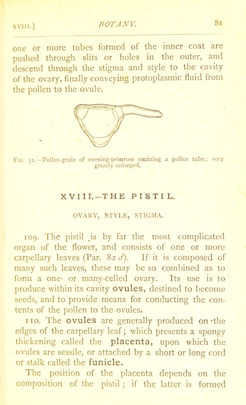 one or more tubes formed of the inner coat are pushed through slits or holes in the outer, and descend through the stigma and style to the cavity of the ovary, finally conveying protoplasmic fluid from the pollen to the ovule. Fig. 51.-Pollen-grain of evening-primrose emitting a pollen tube; very greatly enlarged. 109. The pistil js by far the most complicated organ of the flower, and consists of one or more carpellary leaves (Par. 82 d). If it is composed of many such leaves, these may be so combined as to form a one- or many-celled ovary. Its use is to produce within its cavity ovules, destined to become seeds, and to provide means for conducting the con- tents of the pollen to the ovules. no. The ovules are generally produced on *the edges of the carpellary leaf; which presents a spongy thickening called the placenta, upon which the ovules are sessile, or attached by a short or long cord or stalk called the funicle. The position of the placenta depends on the composition of the pistil; if the latter is formed XVIII.—THE PISTIL. OVARY, STYLE, STIGMA.