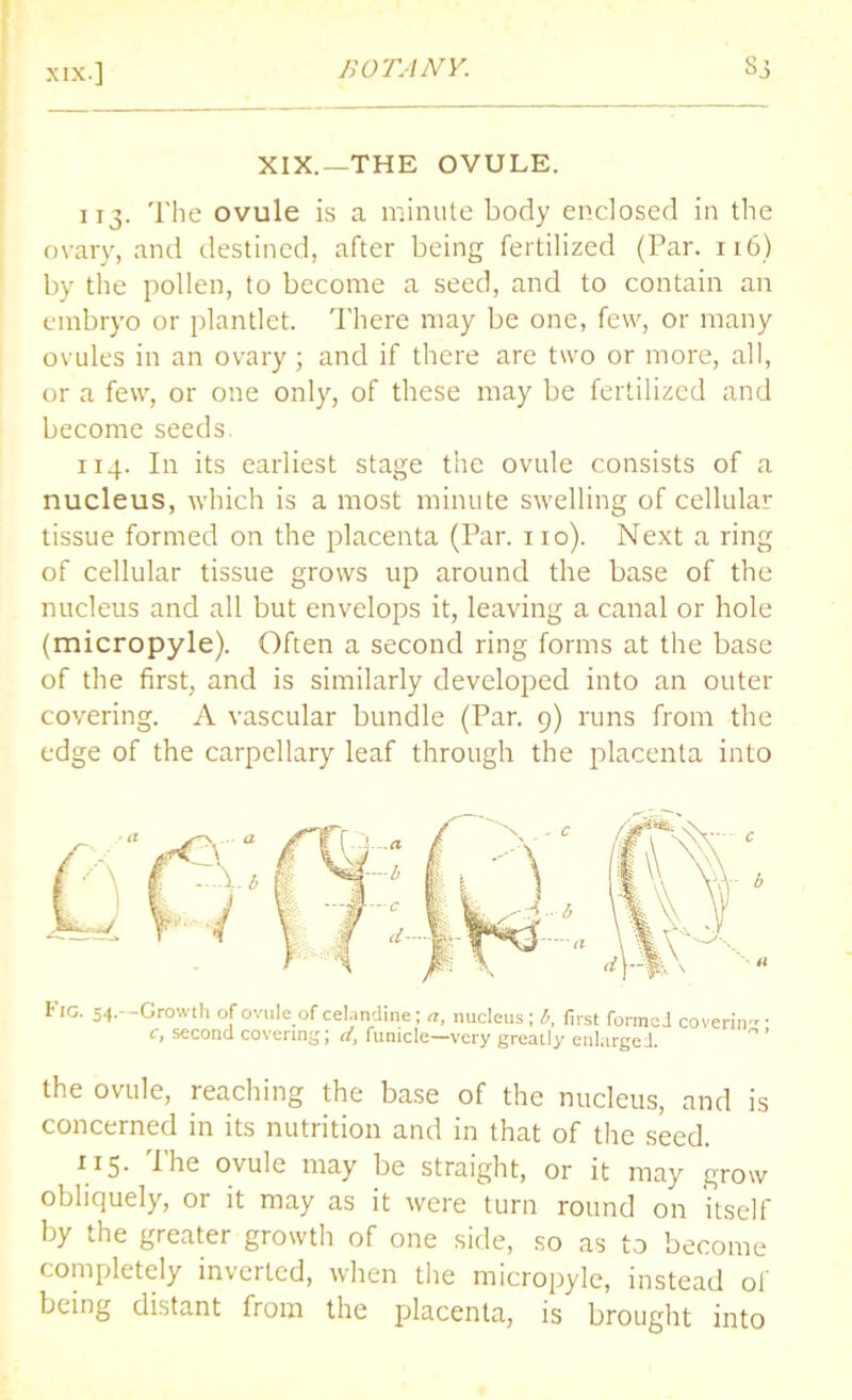 XIX.—THE OVULE. 113. The ovule is a minute body enclosed in the ovary, and destined, after being fertilized (Par. 116) by the pollen, to become a seed, and to contain an embryo or plantlet. There may be one, few, or many ovules in an ovary; and if there are two or more, all, or a few, or one only, of these may be fertilized and become seeds 114. In its earliest stage the ovule consists of a nucleus, which is a most minute swelling of cellular tissue formed on the placenta (Par. no). Next a ring of cellular tissue grows up around the base of the nucleus and all but envelops it, leaving a canal or hole (micropyle). Often a second ring forms at the base of the first, and is similarly developed into an outer covering. A vascular bundle (Par. 9) runs from the edge of the carpellary leaf through the placenta into Fig. 54.—Growth of ovule of celandine; a, nucleus ; b, first formed coverin'' ■ c, second covering; d, funicle—very greatly enlarged. ° ’ the ovule, reaching the base of the nucleus, and is concerned in its nutrition and in that of the seed. 115. The ovule may be straight, or it may grow obliquely, or it may as it were turn round on itself by the greater growth of one side, so as to become completely inverted, when the micropyle, instead of being distant from the placenta, is brought into