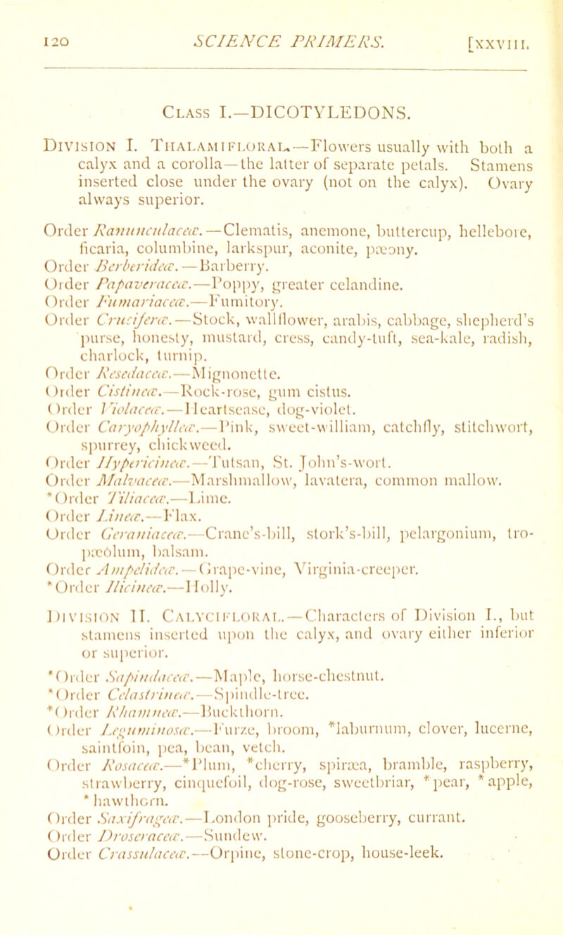 Class I.—DICOTYLEDONS. Division I. Thalamifloral.—Flowers usually with both a calyx and a corolla—the latter of separate petals. Stamens inserted close under the ovary (not on the calyx). Ovary always superior. Order Ranunculaceic.—Clematis, anemone, buttercup, hellebore, ficaria, columbine, larkspur, aconite, preony. Order Bcrbcridac. —Barberry. Order Papavemcccc.—Poppy, greater celandine. Order Eumariacca:.—Fumitory. Order Crucijenc.—Stock, wallflower, arabis, cabbage, shepherd’s purse, honesty, mustard, cress, candy-tuft, sea-kale, radish, charlock, turnip. Order Rescdacca.—Mignonette. Order Cistiticcc.—Rock-rose, gum cislus. Order Violacea.—Heartsease, dog-violet. Order Caryophylletc.—Pink, sweet-william, catchfly, stitchwort, spurrey, duckweed. Order Jlypericincic.—Tutsan, St. John’s-wort. Order Malvacecv.—Marshmallow, lavatera, common mallow. * Order 'filiacca;.—Lime. Order Linece.—Flax. Order Geraniacece.—Crane’s-bill, stork’s-bill, pelargonium, tro- preOlum, balsam. Order Ampelidea:. — Grape-vine, Virginia-creeper. * Order Ilicinctr.—Holly. Division II. Calycikloral.—Characters of Division I., but stamens inserted upon the calyx, and ovary either inferior or superior. Order Sapindacetv.—Maple, horse-chestnut. Order Celastrinetc.—Spindle-tree. Order Rhamuecc.—Buckthorn. Order Lepnminosa:.—Furze, broom, laburnum, clover, lucerne, saintfoin, pea, bean, vetch. Order Rosacccc.—Plum, cherry, spircea, bramble, raspberry, strawberry, cinquefoil, dog-rose, sweetbriar, pear, apple, * hawthorn. Order Saxi/ragor.—London pride, gooseberry, currant. Order Droseracea.—Sundew. Order Crassulacae.—Orpine, stone-crop, house-leek.