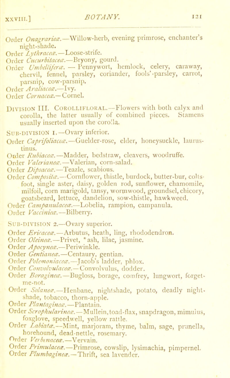 Order Onagrarietz.—Willow-herb, evening primrose, enchanter’s night-shade. Order Lylhracece. -Loose-strife. Order Cucurbitiicac.—Bryony, gourd. Order Umbelliferce. — Pennywort, hemlock, celery, caraway, chervil, fennel, parsley, coriander, fools’-parsley, carrot, parsnip, cow-parsnip. Order Araliacece.—Ivy. Order Cornacece— Cornel. Division III. Corollifloral.—Flowers with both calyx and corolla, the latter usually of combined pieces. Stamens usually inserted upon the corolla. Sub-division i.— Ovary inferior. Order Caprifoliacttz.—Guelder-rose, elder, honeysuckle, laurus- tinus. Order Rubiacece.—Madder, bedstraw, cleavers, woodruffe. Order Valerianea.—Valerian, corn-salad. Order Dipsacetz.—Teazle, scabious. Order ComposiUz.—Cornflower, thistle, burdock, butter-bur, colts- foot, single aster, daisy, golden rod, sunflower, chamomile, milfoil, corn marigold, tansy, wormwood, groundsel, chicory, goatsbeard, lettuce, dandelion, sow-thistle, hawk weed. Order C.ampanulacece.—Lobelia, rampion, campanula. Order Vacciniecz.—Bilberry. Sub-division 2.—Ovary superior. Order Ericacea.-—Arbutus, heath, ling, rhododendron. Order Oleinetz.—Privet, *ash, lilac, jasmine. Order Apocynea.—Periwinkle. Order Gentianecz.—Centaury, gentian. Order Polemoniacetz.—Jacob’s ladder, phlox. Order Convohulacecz.— Convolvulus, dodder. Order Boraginece.—Bugloss, borage, comfrey, lungwort, forget- me-not. Order Solaneiz.—Plenbane, nightshade, potato, deadly night- shade, tobacco, thorn-apple. Order Plantaginecz.—Plantain. Order Scrophularinecz.—Mullein,toad-flax, snapdragon, mimuius, foxglove, speedwell, yellow rattle. Order Labiatcz.—Mint, marjoram, thyme, balm, sage, prunella, horehound, dead-nettle, rosemary. f>rder VerbtnacecE.—Vervain. Order Pnmulacece.—Primrose, cowslip, lysimachia, pimpernel. Order Plur>ibagine<z. — Thrift, sea lavender.