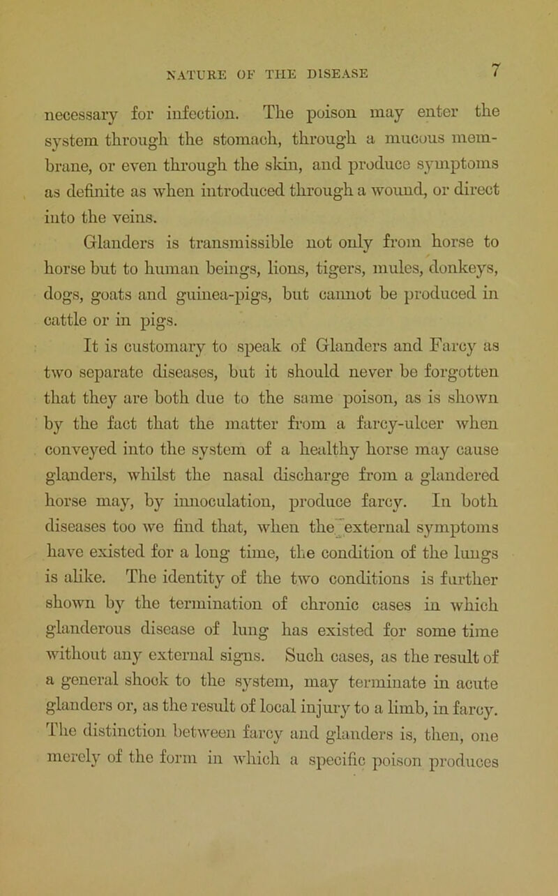 necessary for infection. The poison may enter the system through the stomach, through a mucous mem- brane, or even through the skin, and produce symptoms as definite as when introduced through a wound, or direct iuto the veins. Glanders is transmissible not only from horse to horse but to human beings, lions, tigers, mules, donkeys, dogs, goats and guinea-pigs, but cannot be produced in cattle or in pigs. It is customary to speak of Glanders and Farcy as two separate diseases, but it should never be forgotten that they are both due to the same poison, as is shown by the fact that the matter from a farcy-ulcer when conveyed into the system of a healthy horse may cause glanders, whilst the nasal discharge from a glandered horse may, by innoculation, produce farcy. In both diseases too we find that, when the external symptoms have existed for a long time, the condition of the lungs is alike. The identity of the two conditions is further shown by the termination of chronic cases in which glanderous disease of lung has existed for some time without any external signs. Such cases, as the result of a general shook to the system, may terminate in acute glanders or, as the result of local injury to a limb, in farcy. The distinction between farcy and glanders is, then, one merely of the form in which a specific poison produces