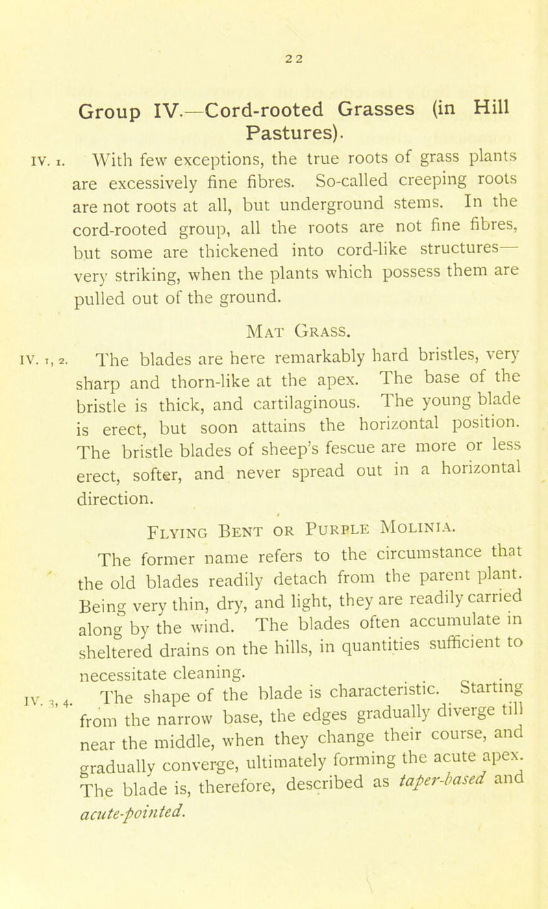 Group IV.—Cord-rooted Grasses (in Hill Pastures). IV. I. With few exceptions, the true roots of grass plants are excessively fine fibres. So-called creeping roots are not roots at all, but underground stems. In the cord-rooted group, all the roots are not fine fibres, but some are thickened into cord-like structures very striking, when the plants which possess them are pulled out of the ground. Mat Grass. IV. T, 2. The blades are here remarkably hard bristles, very sharp and thorn-like at the apex. The base of the bristle is thick, and cartilaginous. The young blade is erect, but soon attains the horizontal position. The bristle blades of sheep’s fescue are more or less erect, softer, and never spread out in a horizontal direction. Flying Bent or Purple Molinia. The former name refers to the circumstance that the old blades readily detach from the parent plant. Being very thin, dry, and light, they are readily earned along by the wind. The blades often accumulate in sheltered drains on the hills, in quantities sufficient to necessitate cleaning. iv. s 4. The shape of the blade is characteristic. Starting from the narrow base, the edges gradually diverge ti near the middle, when they change their course, and gradually converge, ultimately forming the acute apex\ The blade is, therefore, described as taper-based and acute-pointed.