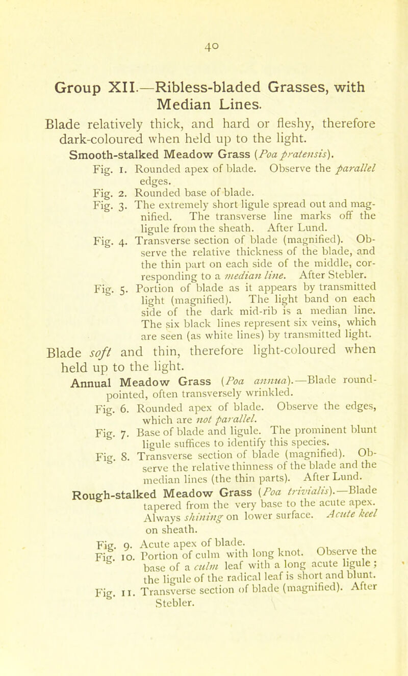 4° Group XII.—Ribless-bladed Grasses, with Median Lines. Blade relatively thick, and hard or fleshy, therefore dark-coloured when held up to the light. Smooth-stalked Meadow Grass {Poapratensis). Fig. I. Rounded apex of blade. Observe the parallel edges. Fig. 2. Rounded base of blade. Fig. 3. The extremely short ligule spread out and mag- nified. The transverse line marks off the ligule from the sheath. After Lund. Fig. 4. Transverse section of blade (magnified). Ob- serve the relative thickness of the blade, and the thin part on each side of the middle, cor- responding to a median line. After Stebler. Fig. 5. Portion of blade as it appears by transmitted light (magnified). The light band on each side of the dark mid-rib is a median line. The .six black lines represent six veins, which are seen (as white lines) by transmitted light. Blade soft and thin, therefore light-coloured when held up to the light. Annual Meadow Grass {Poa annua).—Blade round- pointed, often transversely wrinkled. Fig. 6. Rounded apex of blade. Observe the edges, which are not parallel. Fig. 7. Base of blade and ligule. The prominent blunt ligule suffices to identify this species. Fig. 8. Transverse section of blade (magnified). Ob- serve the relative thinness of the blade and the median lines (the thin parts). After Lund. Rouffh-stalked Meadow Grass {Poa Blade tapered from the very base to the acute apex. Always shining on lower surface. Acute keel on sheath. Fig. Q. Acute apex of blade. Fig 10. Portion of culm with long knot. Observe the base of a culm leaf with a long acute ligule ; the ligule of the radical leaf is short and blunt. Fig. 11. Transverse section of blade (magnified). After Stebler.